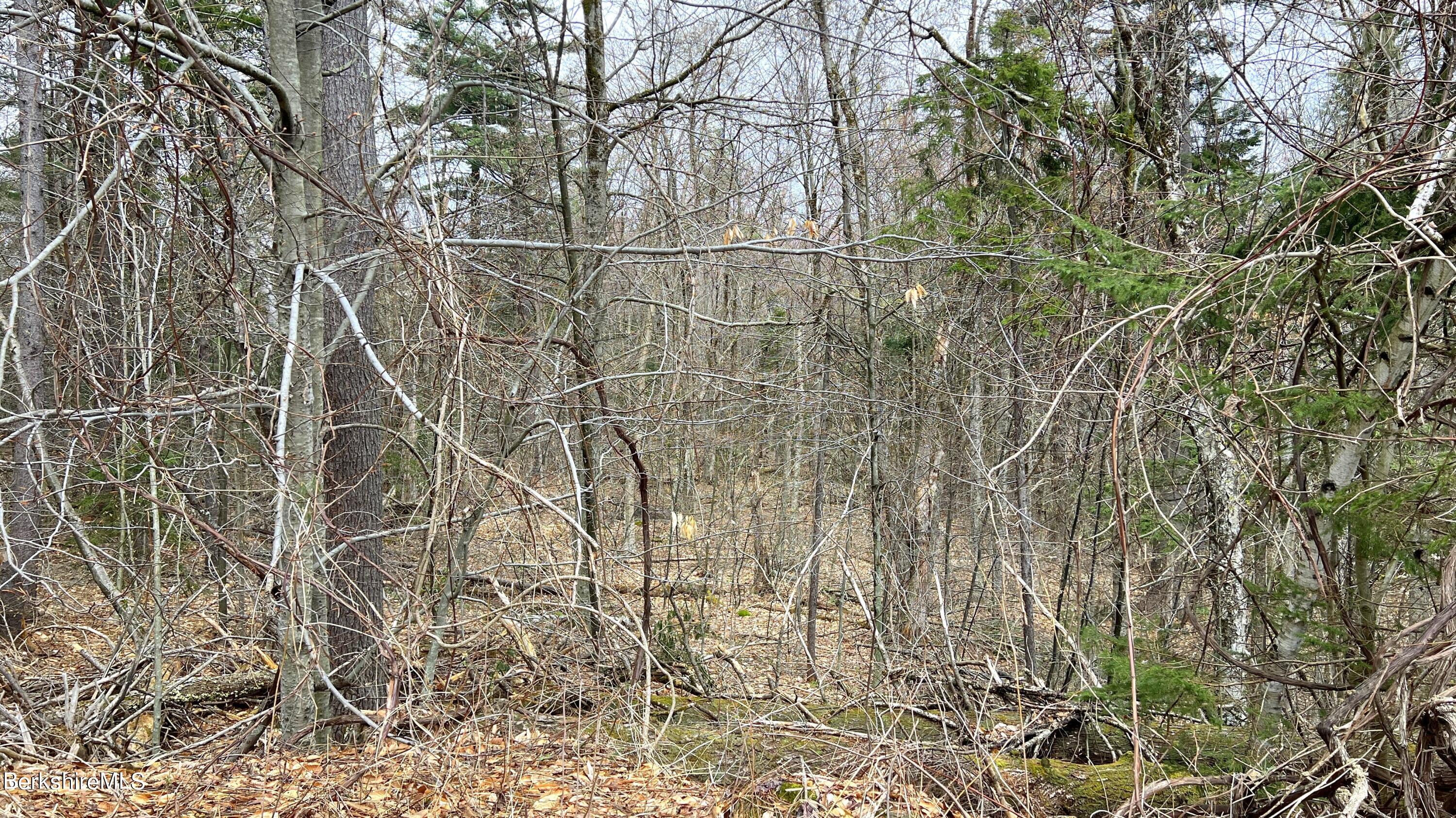 Lot9A Perch Close, Becket, Massachusetts image 7
