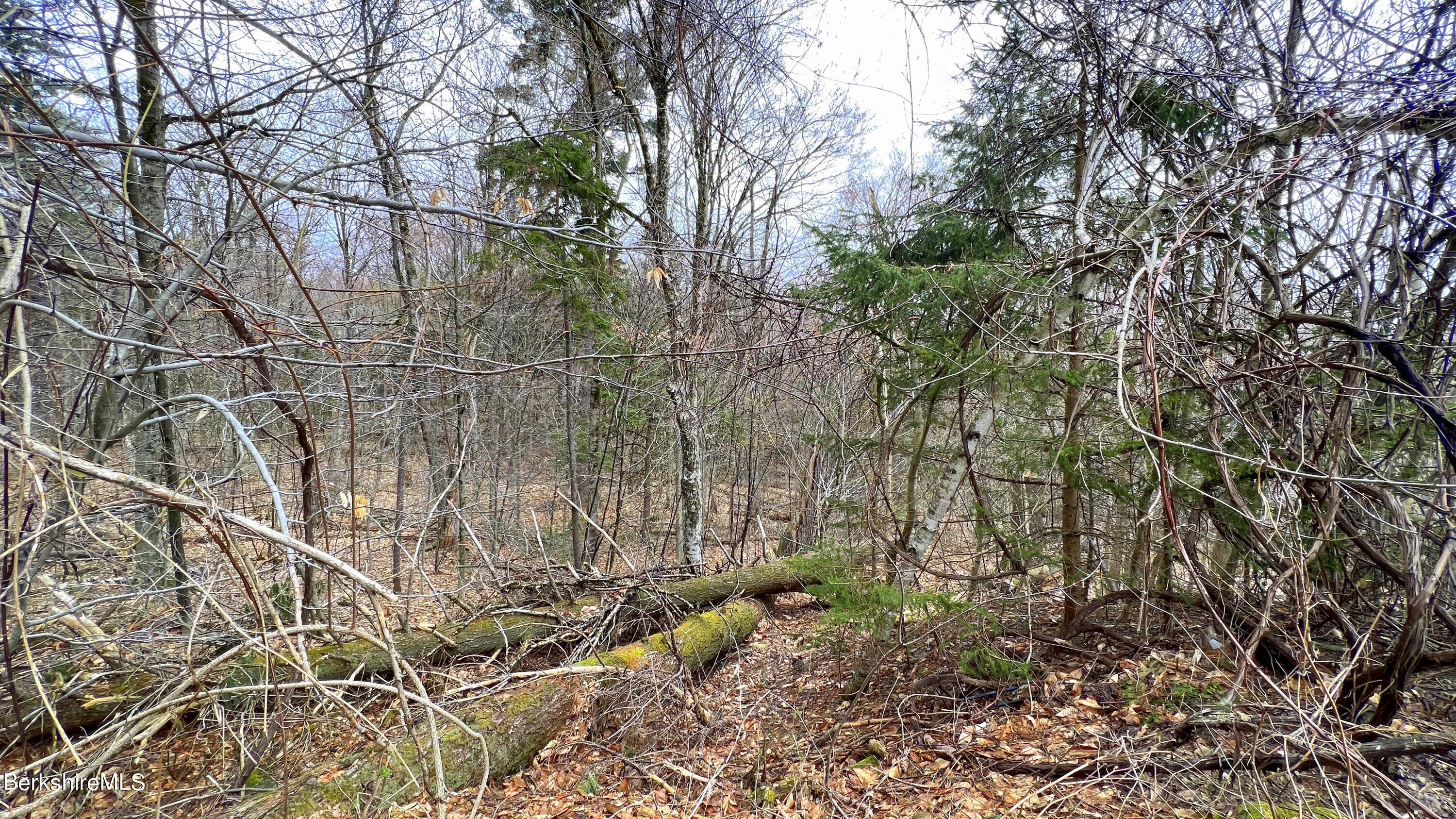 Lot9A Perch Close, Becket, Massachusetts image 6