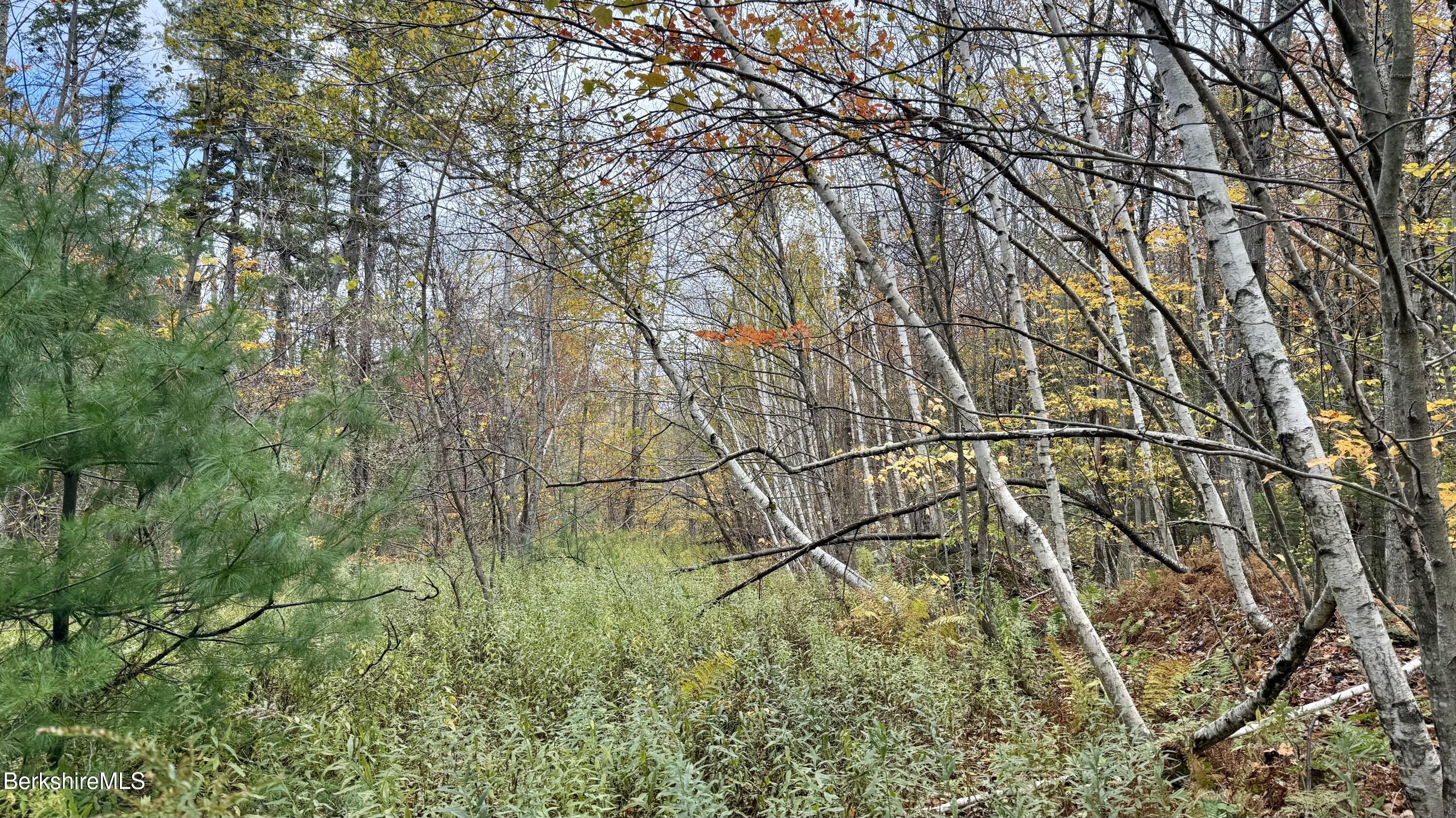 Stoney Brook Rd, Becket, Massachusetts image 1