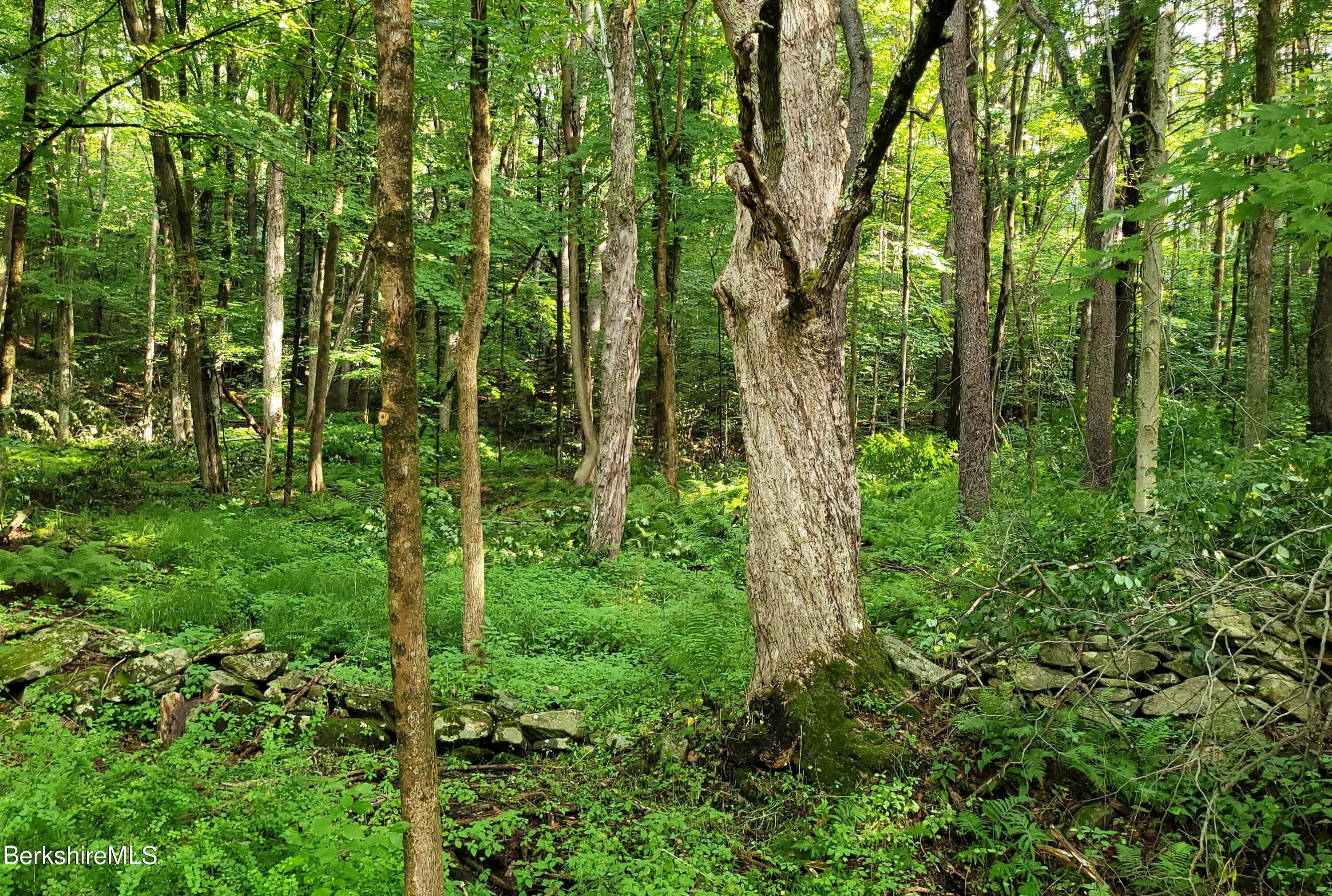 Leland Rd, Becket, Massachusetts image 10