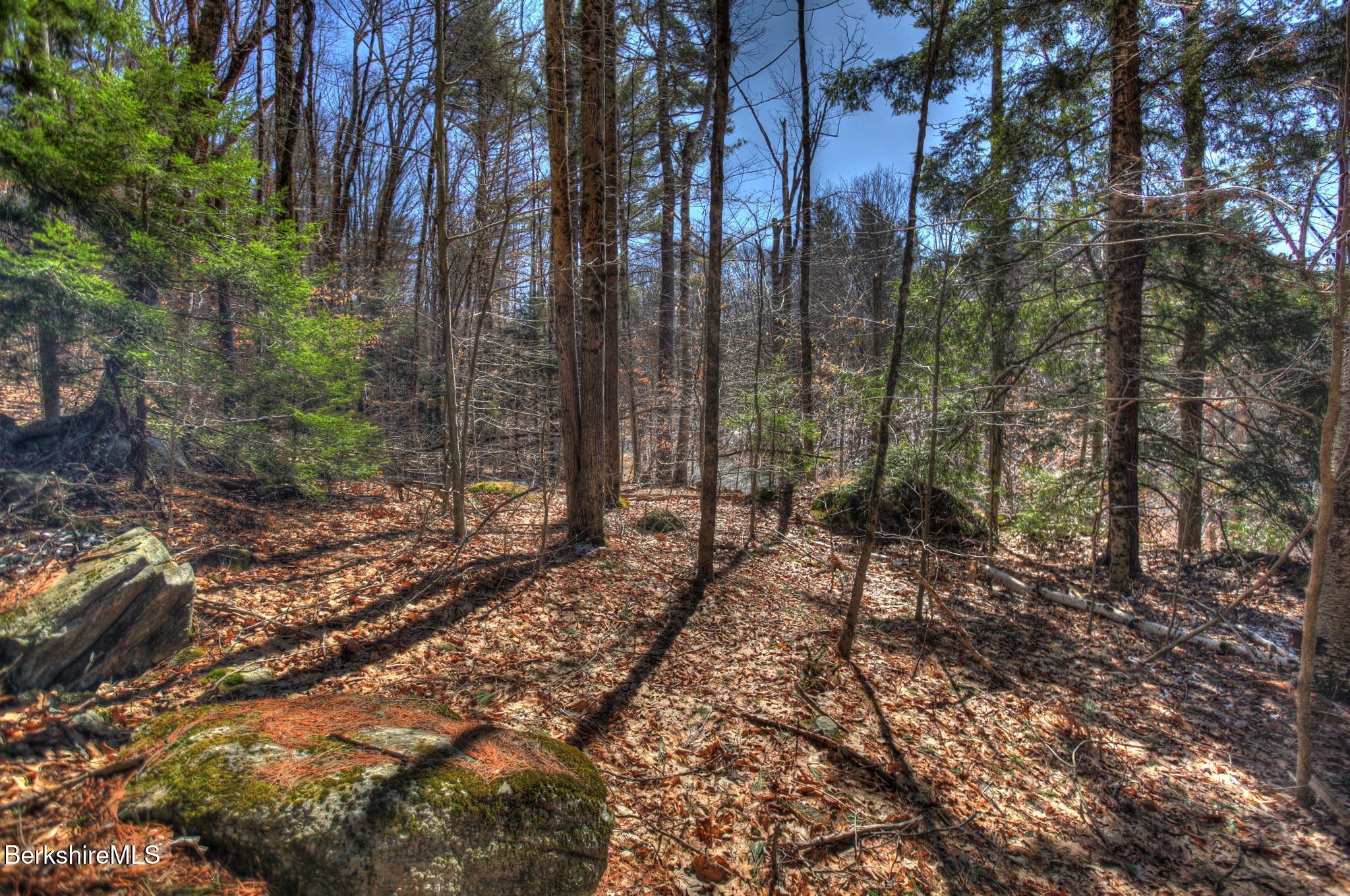 Tyringham Rd, Otis, Massachusetts image 2