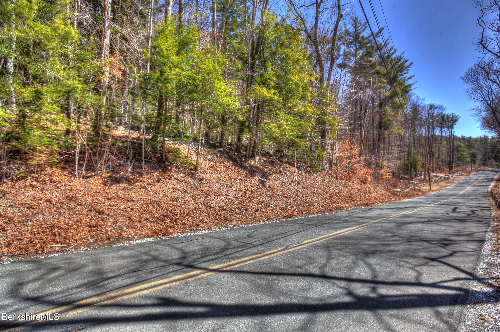 Tyringham Rd, Otis, Massachusetts image 9