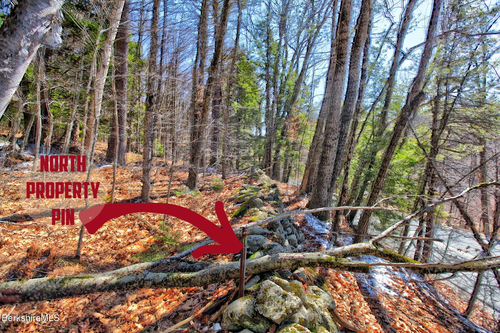 Tyringham Rd, Otis, Massachusetts image 8