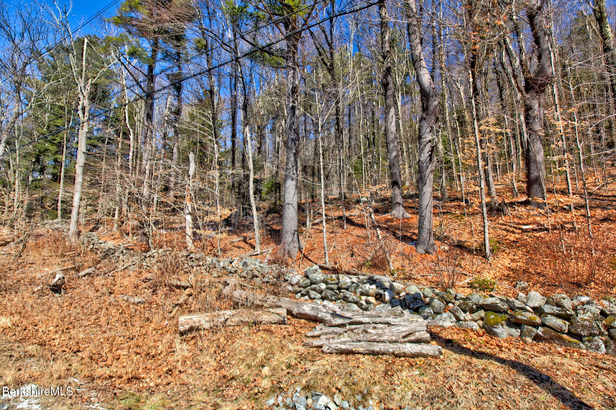 Tyringham Rd, Otis, Massachusetts image 5
