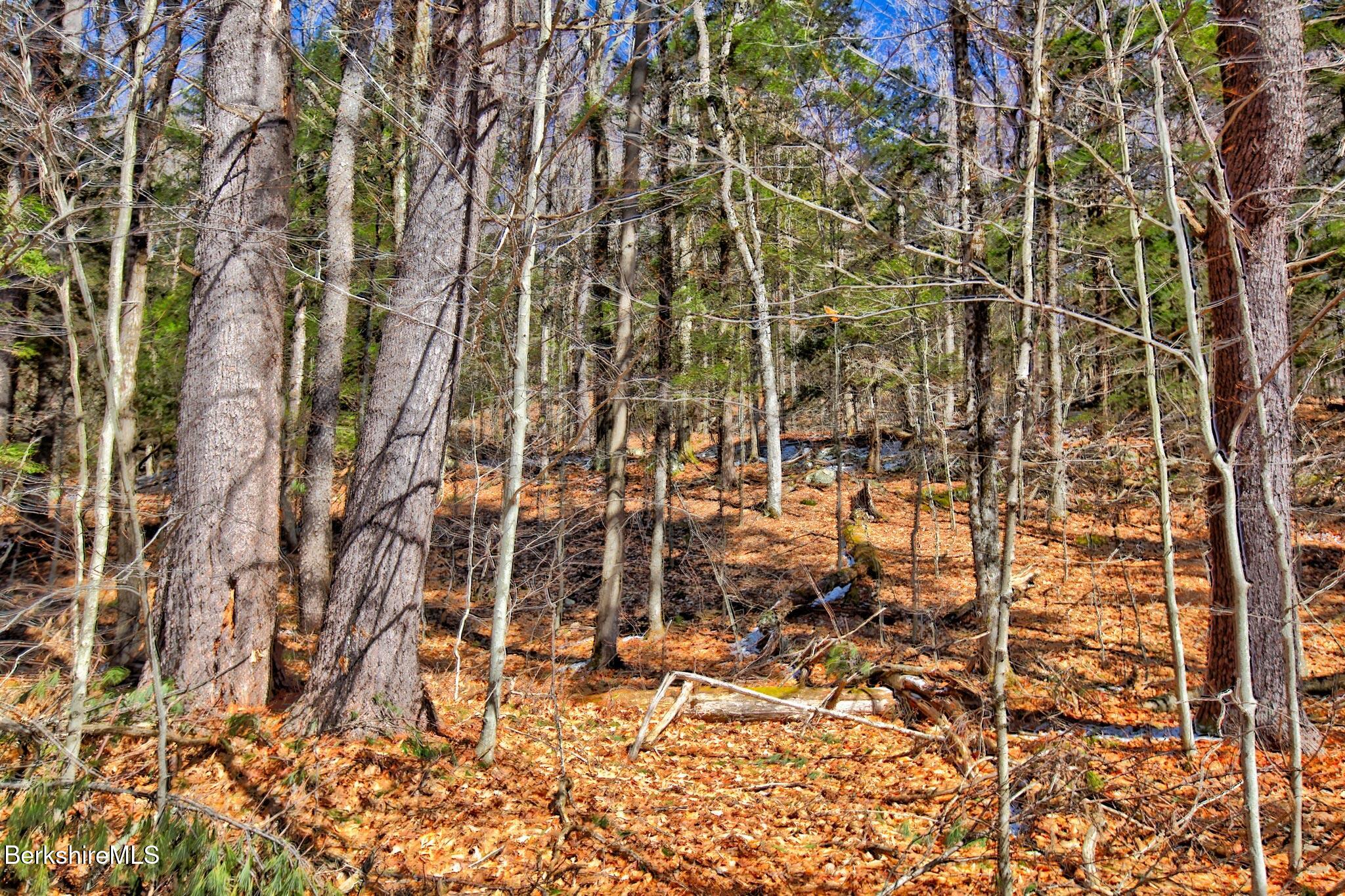 Tyringham Rd, Otis, Massachusetts image 4
