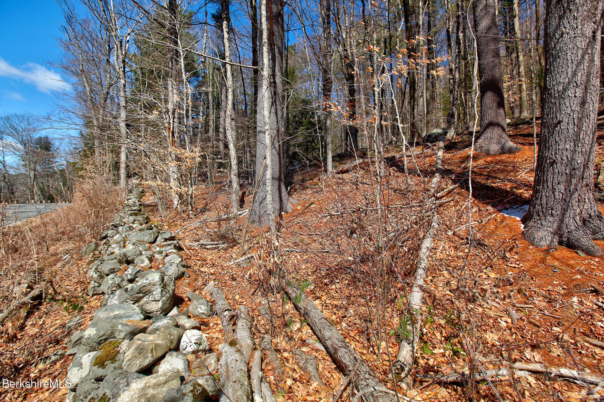 Tyringham Rd, Otis, Massachusetts image 6