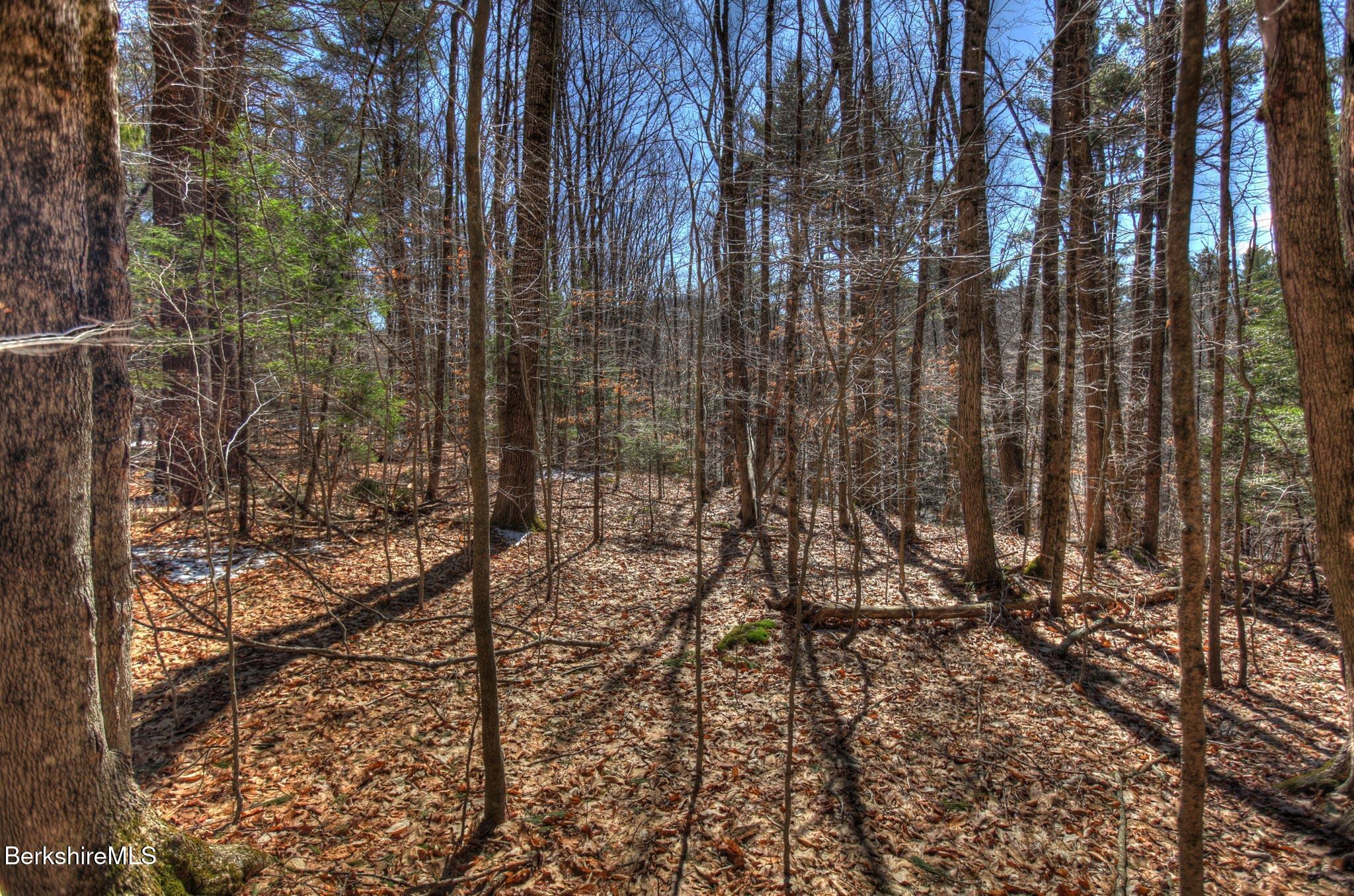 Tyringham Rd, Otis, Massachusetts image 1