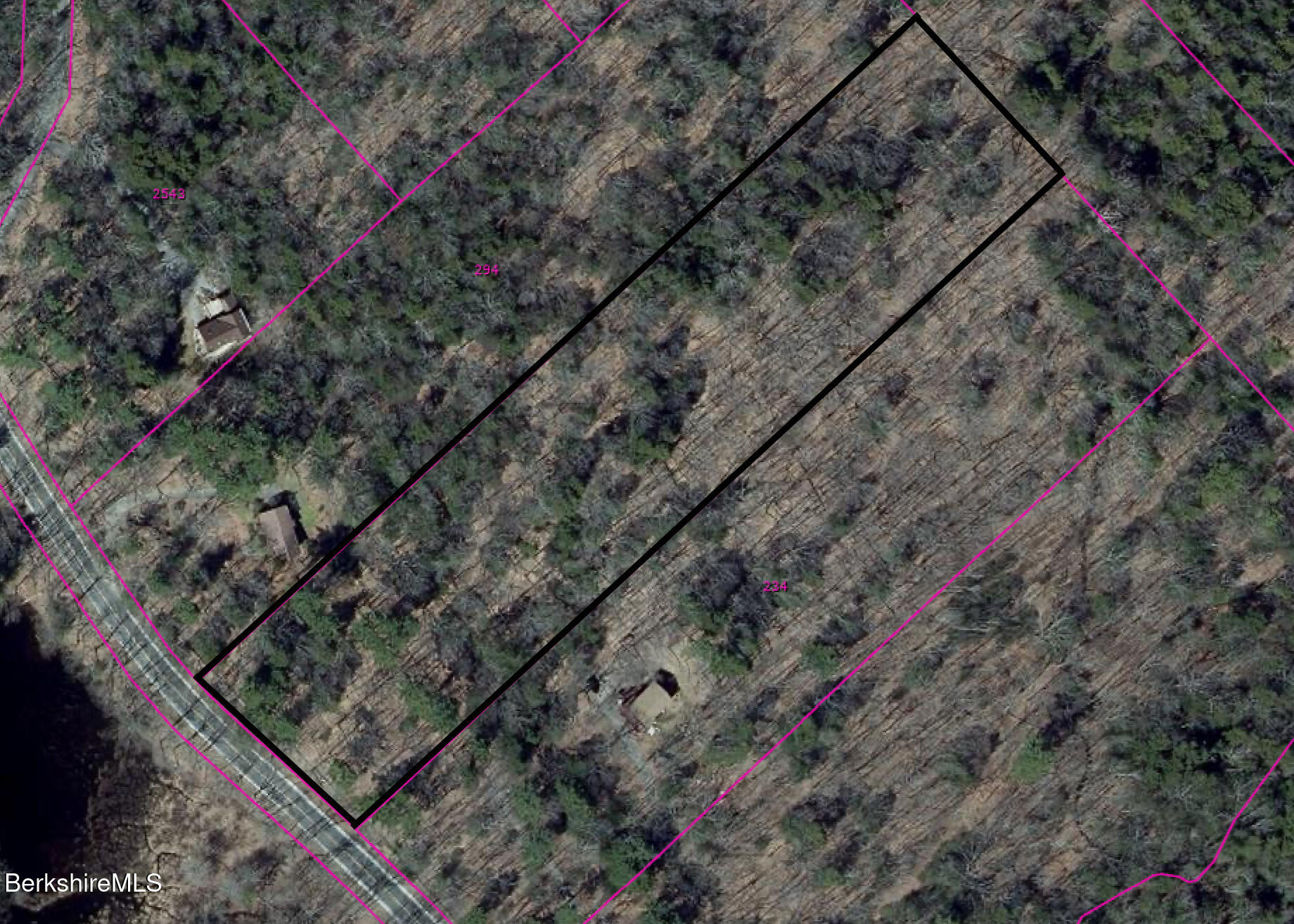 Tyringham Rd, Otis, Massachusetts image 11