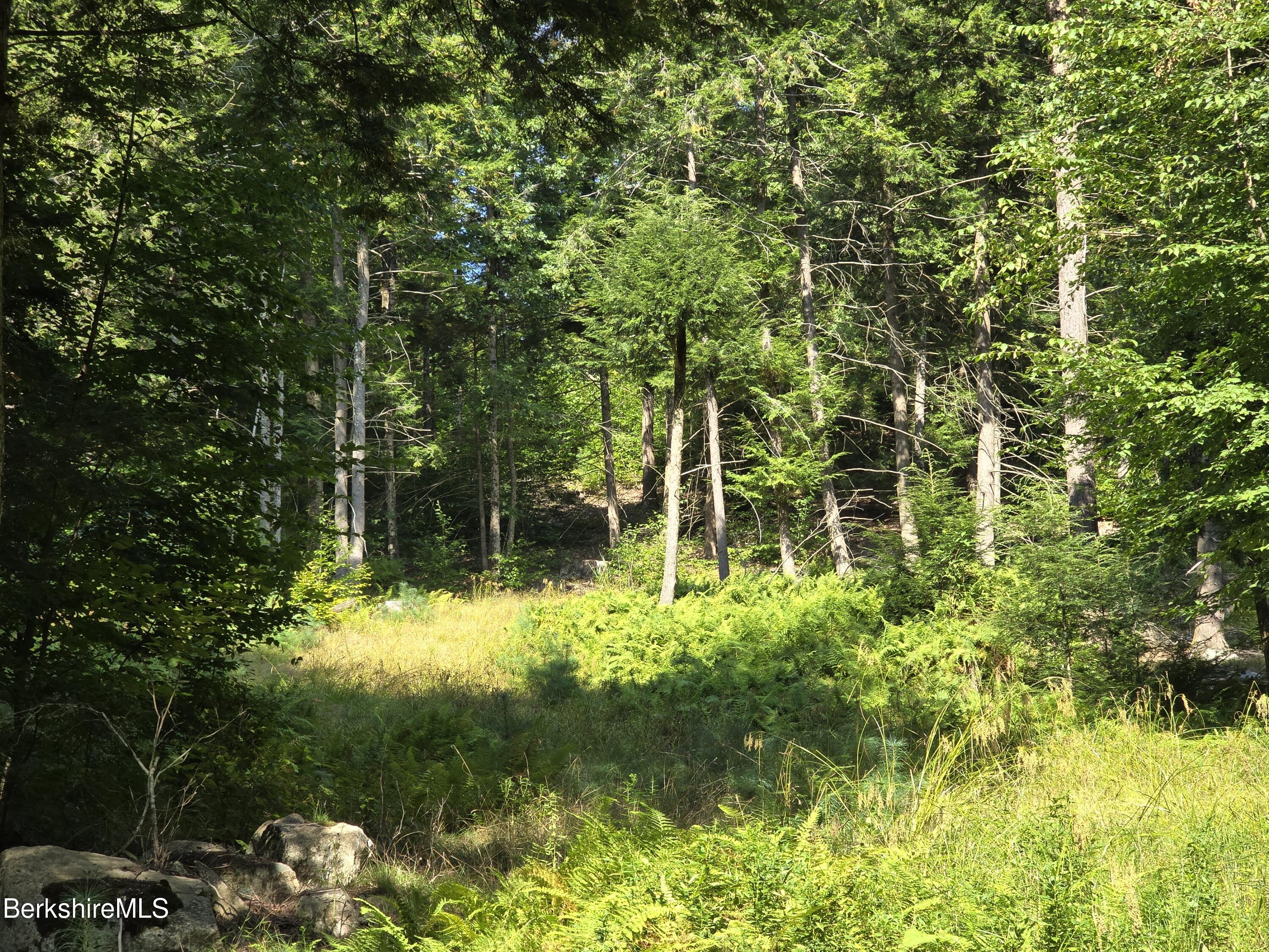 Black River Rd, Stephentown, New York image 8