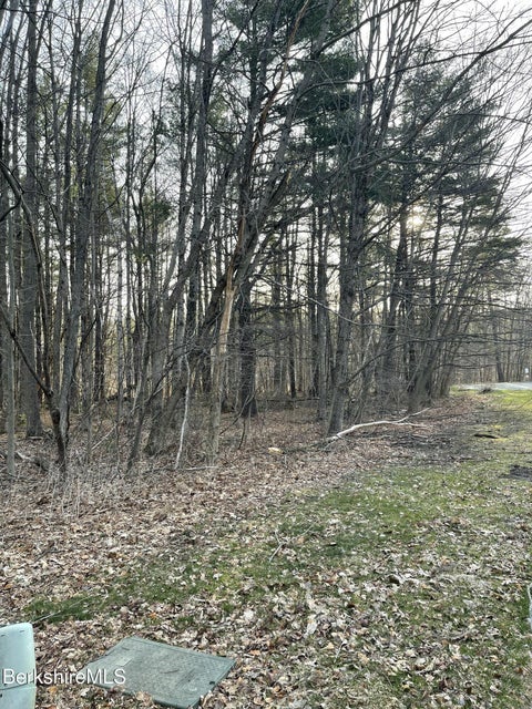 Vacant Land For Sale - Eastbrook Ln<br/> Pittsfield Twp, MA 01201