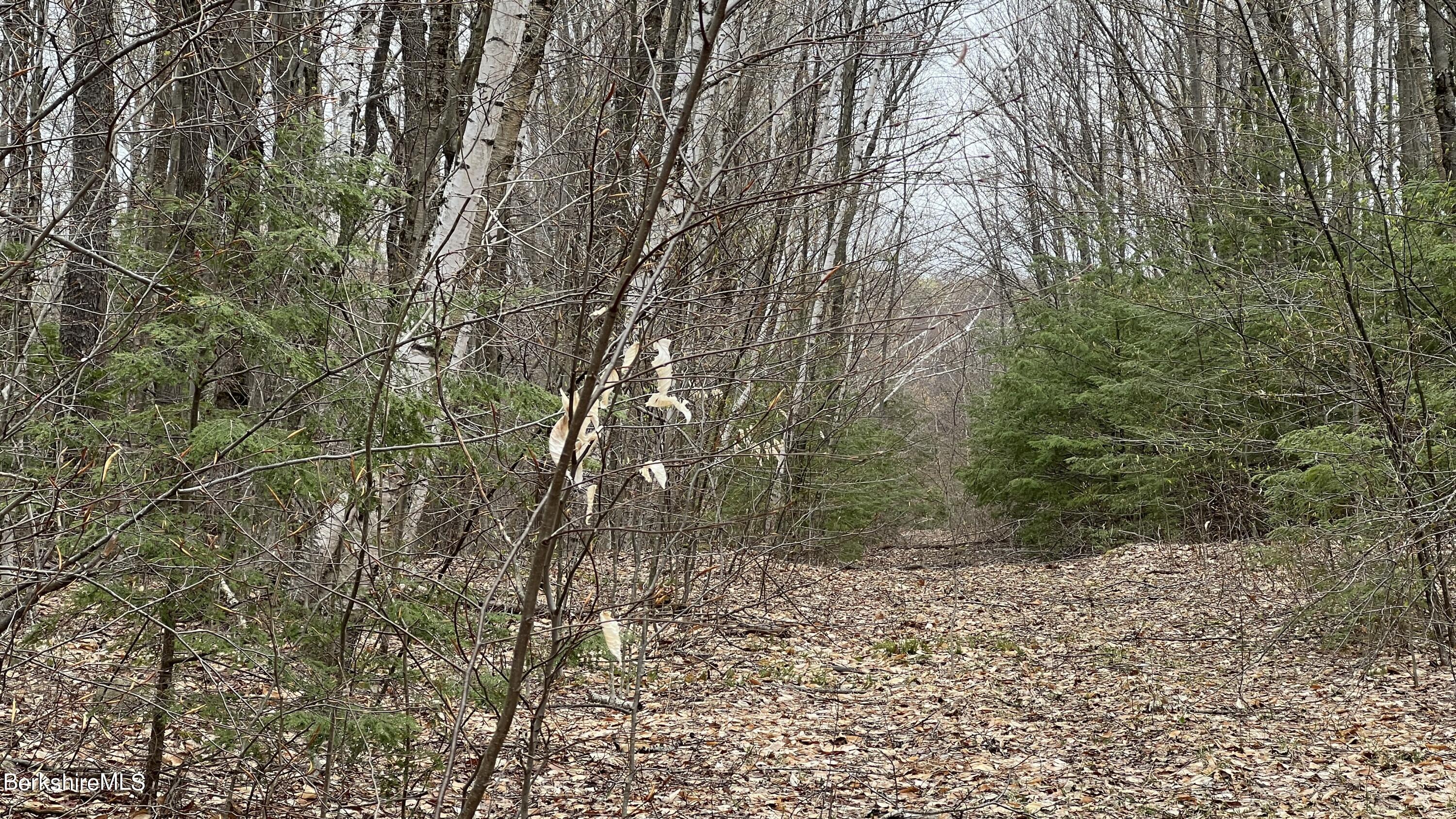 Lot19 Skyline Ridge Rd, Becket, Massachusetts image 6
