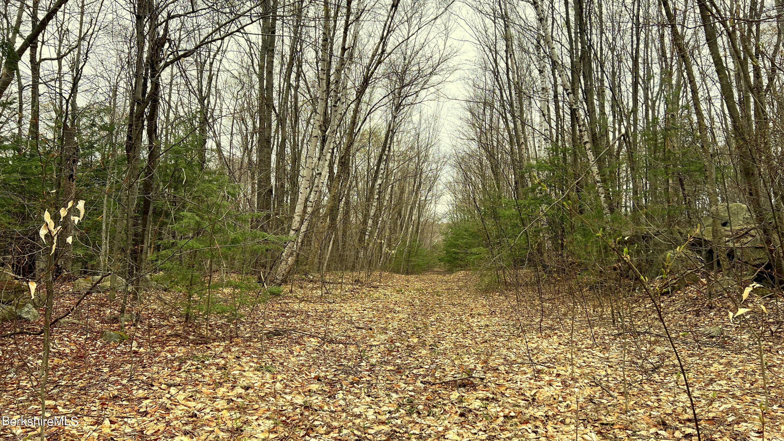 Lot19 Skyline Ridge Rd, Becket, Massachusetts image 5