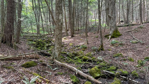 Vacant Land For Sale - LOT 35 Deer Run<br/> Becket, MA 01223