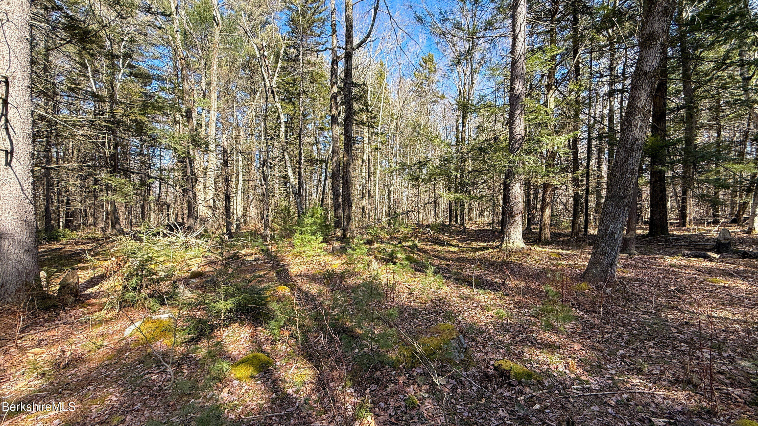 LOT16 Porcupine Ct, Becket, Massachusetts image 6