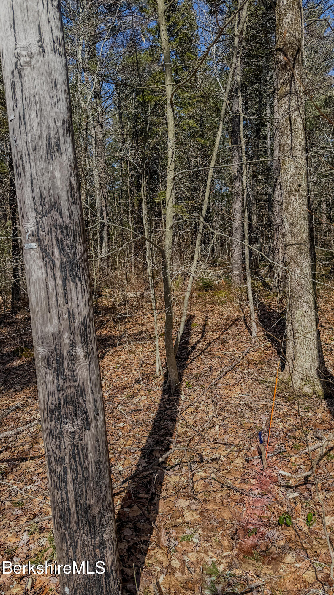 LOT16 Porcupine Ct, Becket, Massachusetts image 11
