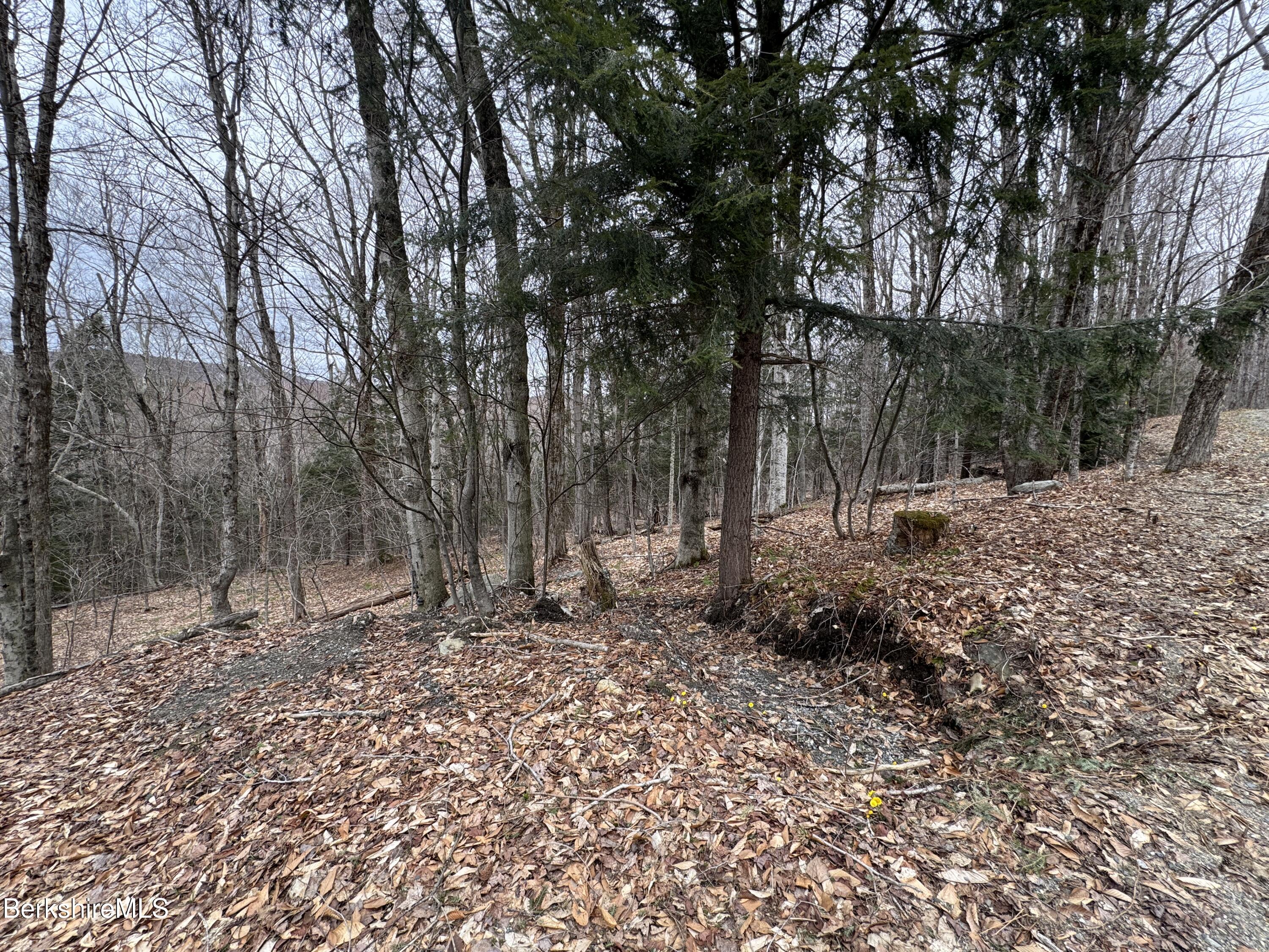Turner Hill Rd, Monroe, Massachusetts image 8