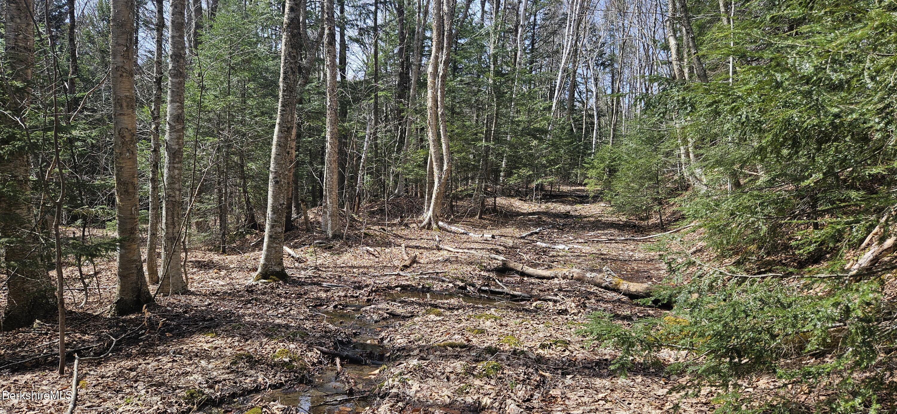 Turner Hill Rd, Monroe, Massachusetts image 11