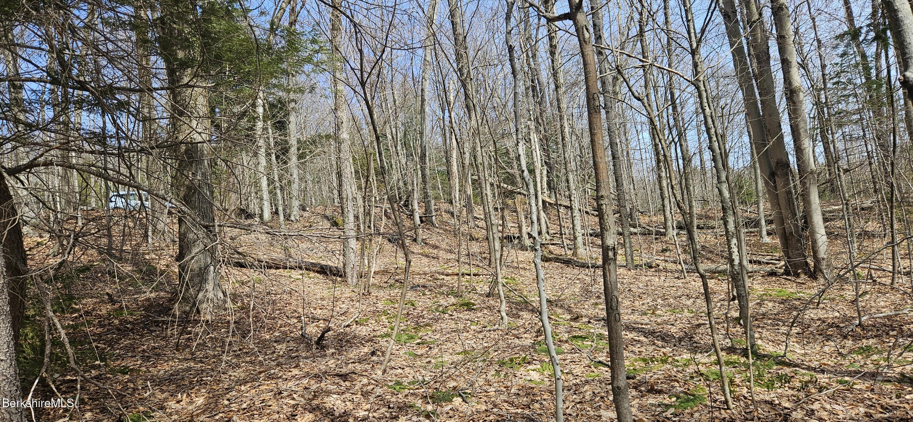 Turner Hill Rd, Monroe, Massachusetts image 7