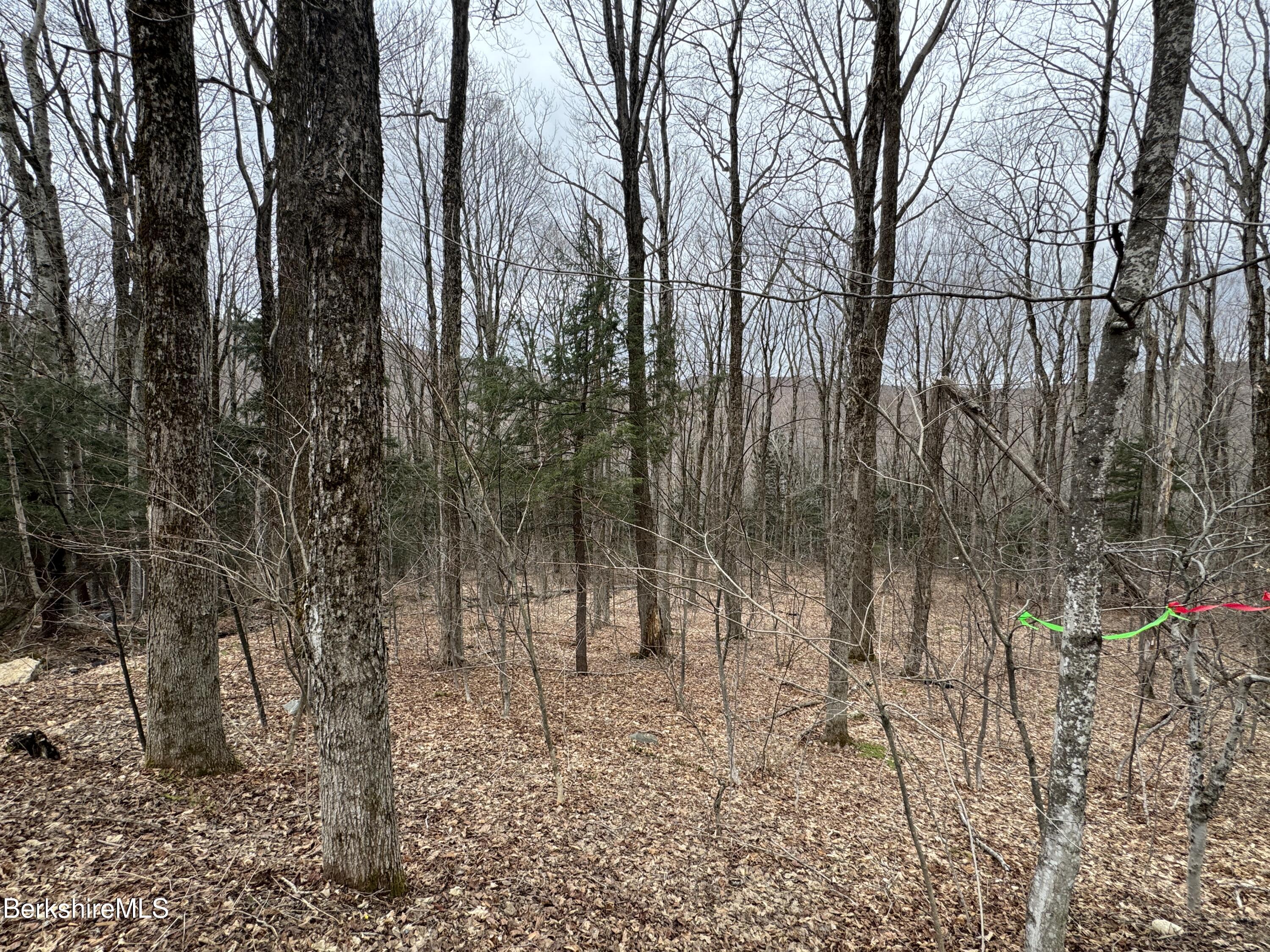 Turner Hill Rd, Monroe, Massachusetts image 4