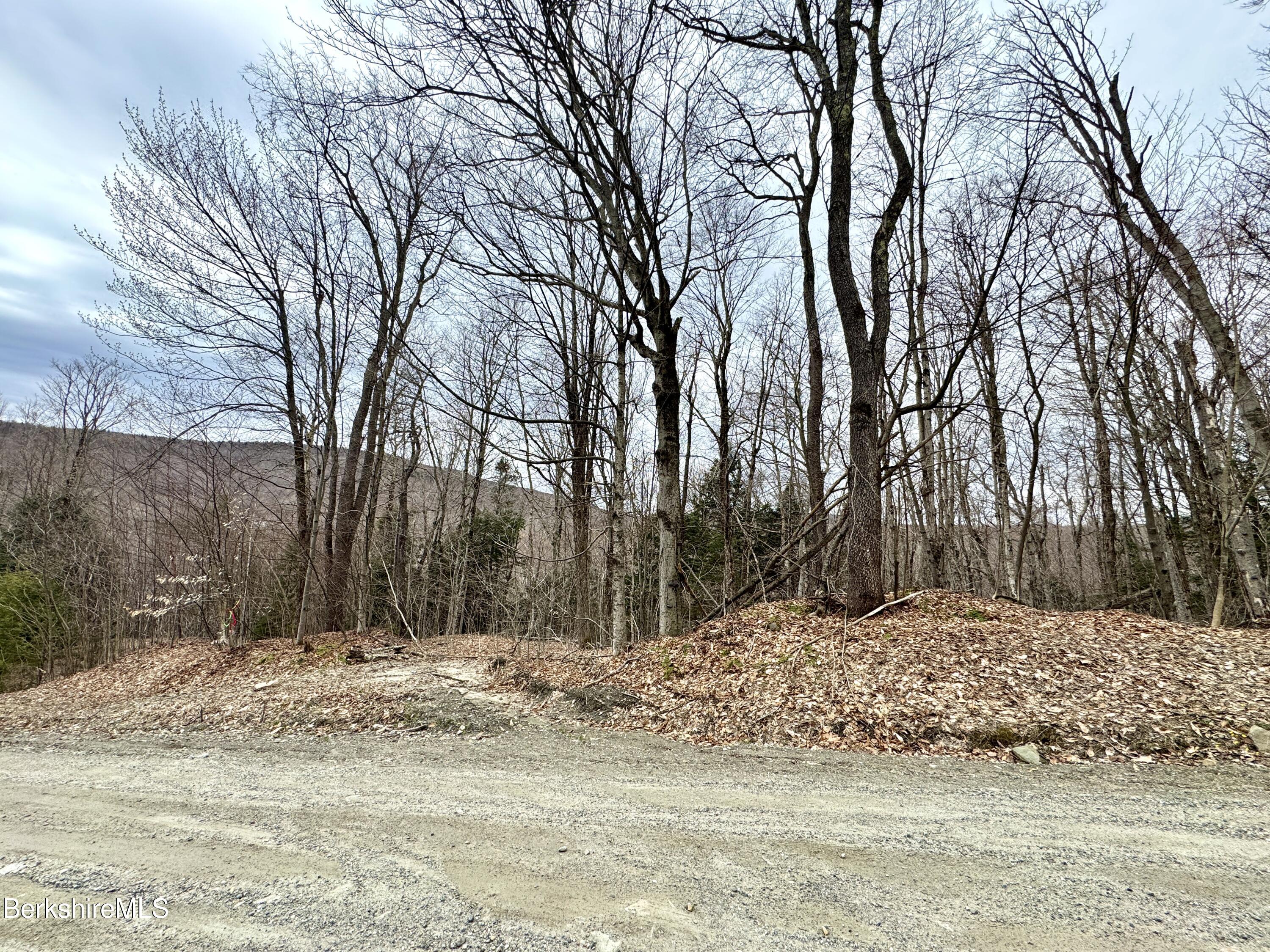 Turner Hill Rd, Monroe, Massachusetts image 3