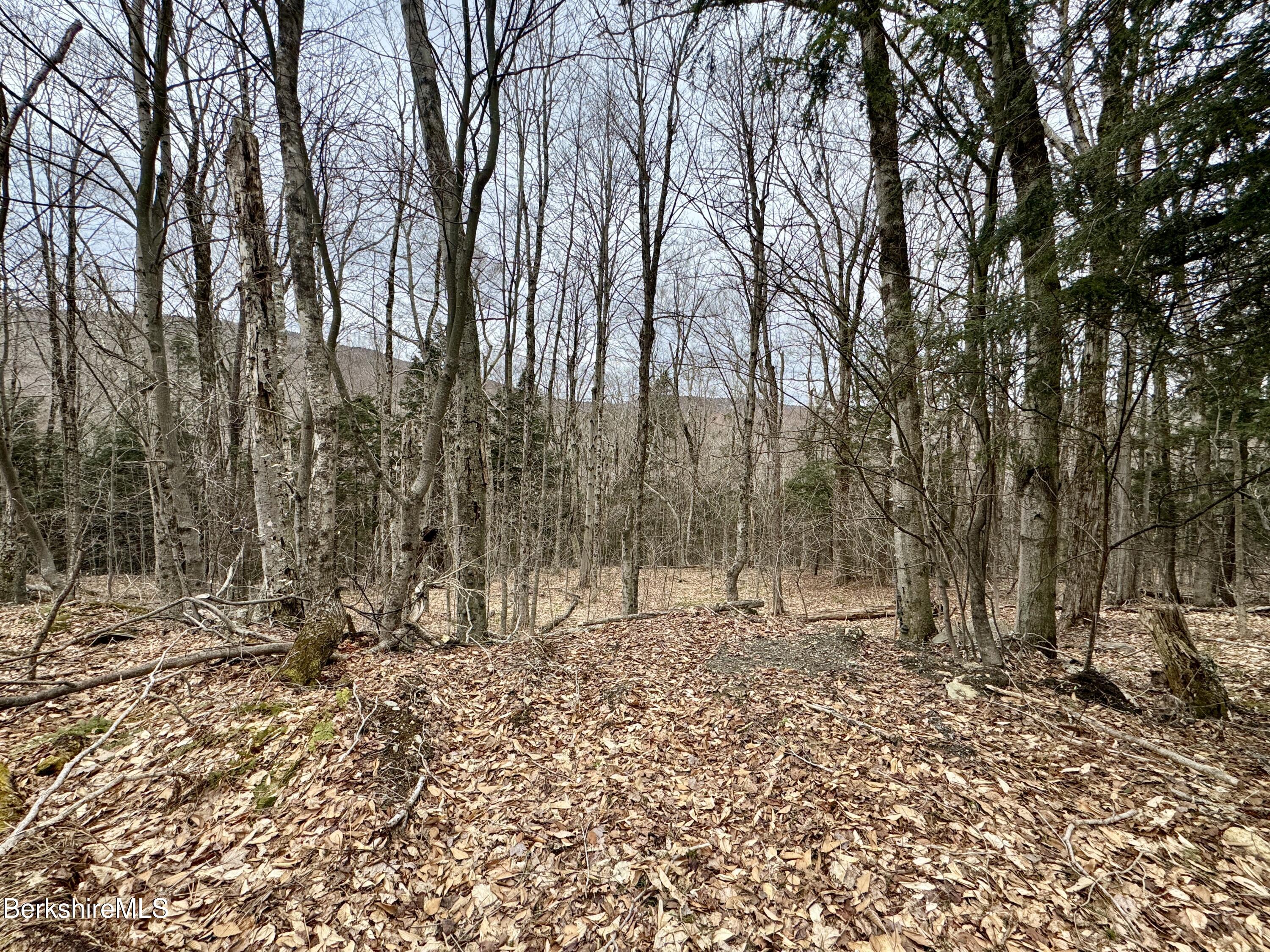 Turner Hill Rd, Monroe, Massachusetts image 1