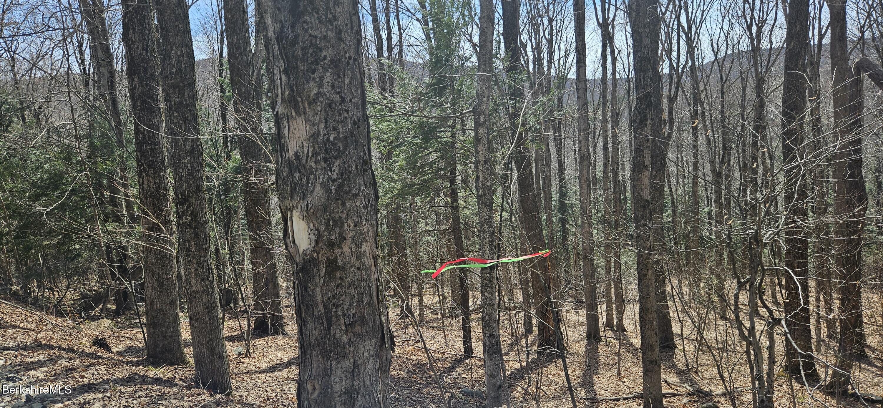 Turner Hill Rd, Monroe, Massachusetts image 10