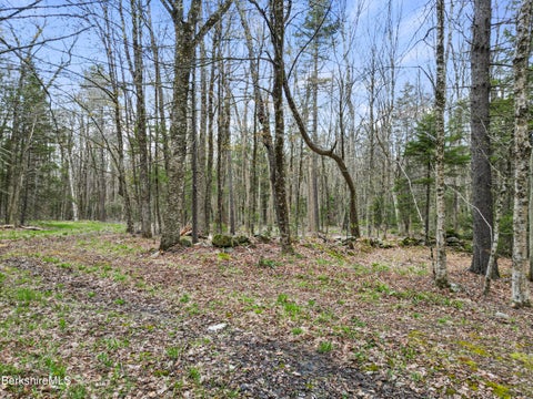 Vacant Land For Sale - Stagecoach Rd<br/> Becket, MA 01223