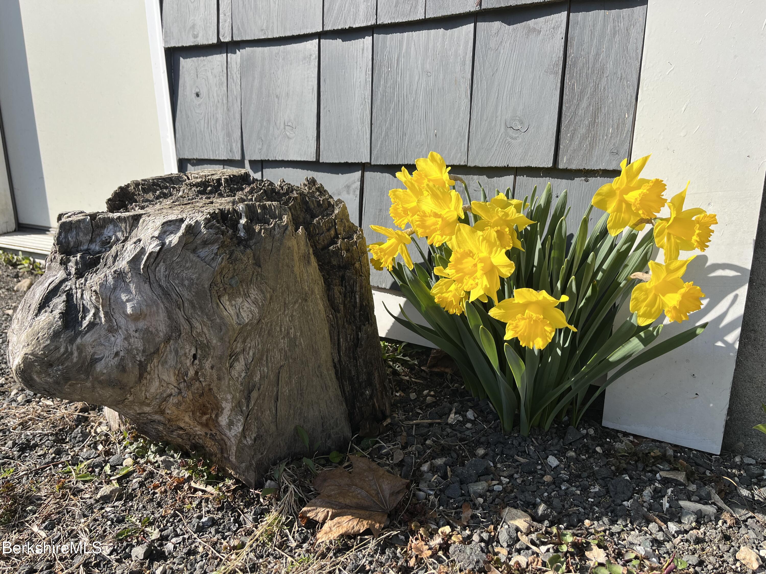 Pittsfield, Massachusetts 01201, United States, 3 Bedrooms Bedrooms, ,1 BathroomBathrooms,Residential,Active,84238