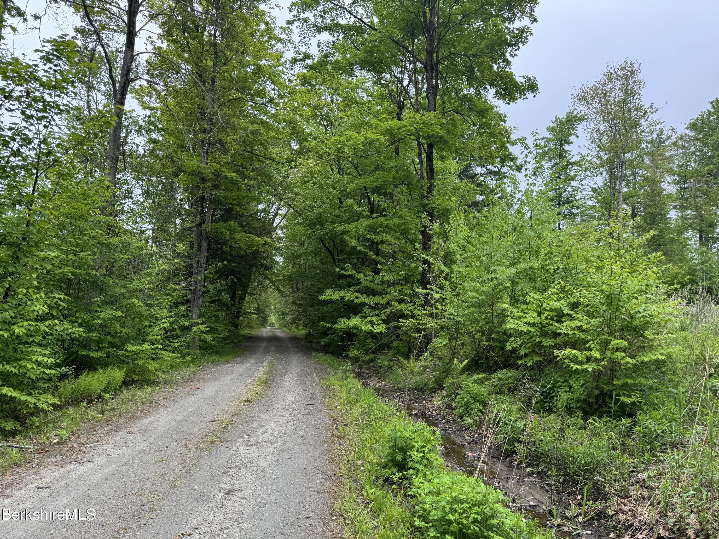 Lot B Beulah Land Road, Blandford, Massachusetts image 6