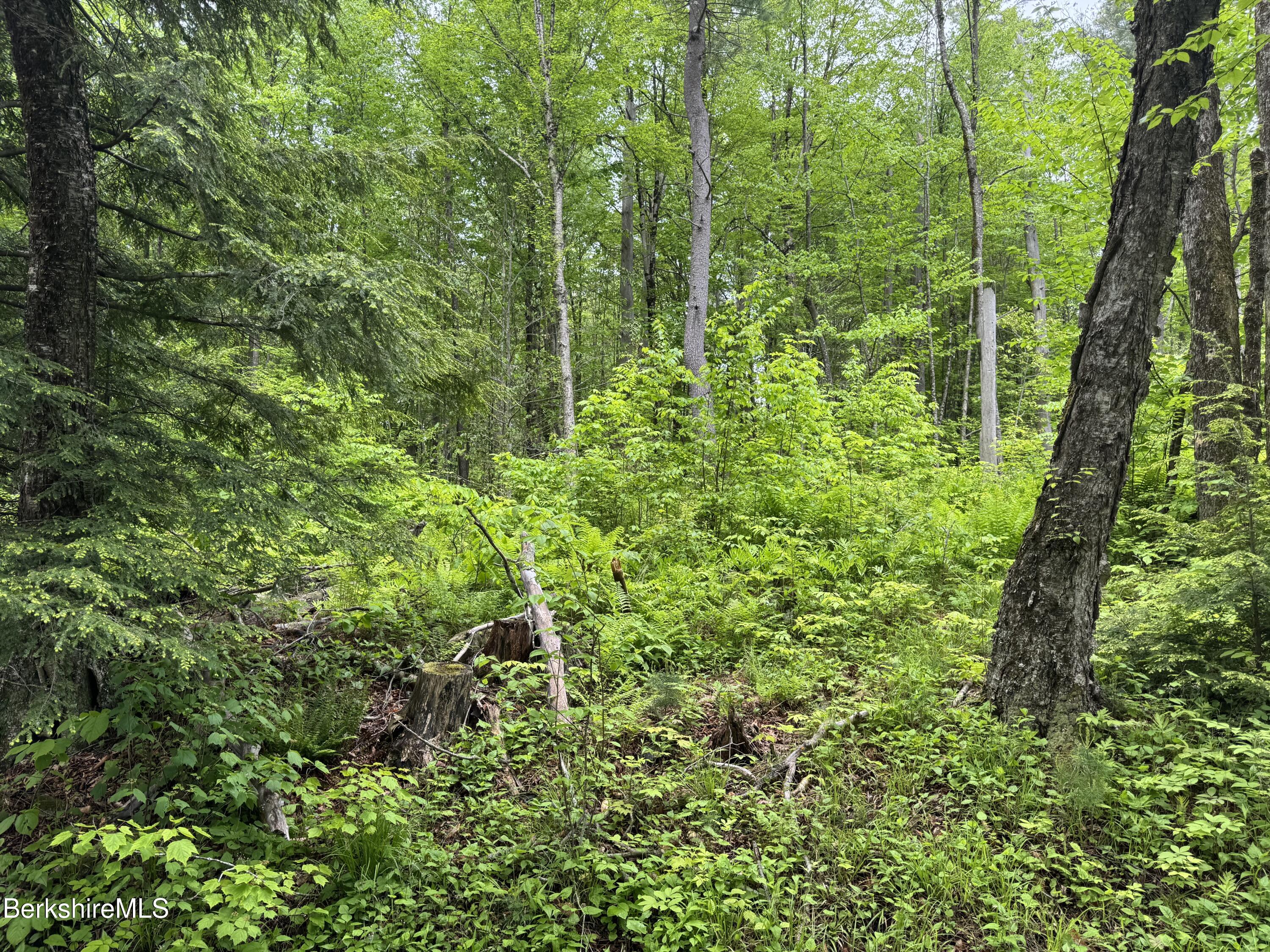 Lot B Beulah Land Road, Blandford, Massachusetts image 3