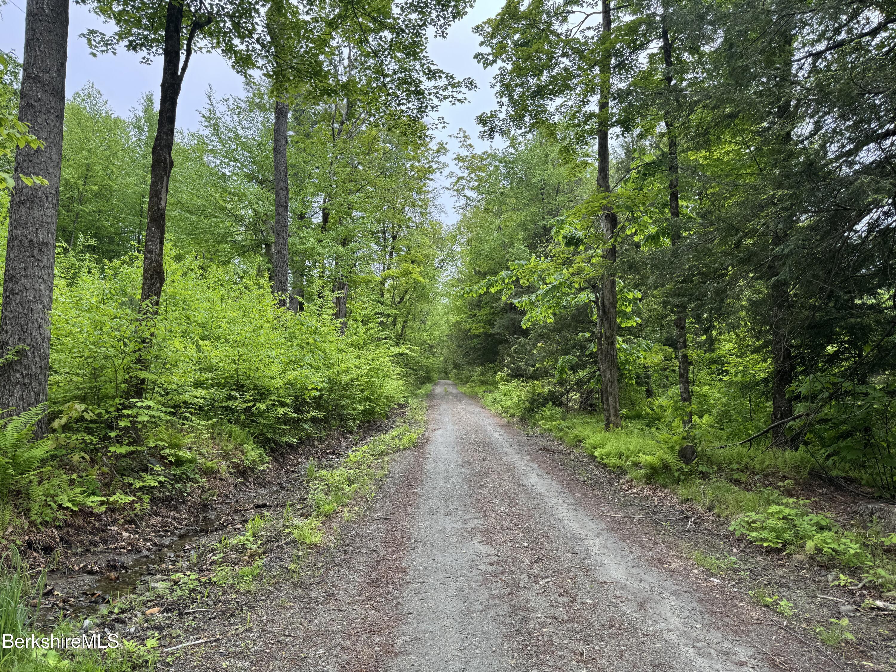 Lot B Beulah Land Road, Blandford, Massachusetts image 2