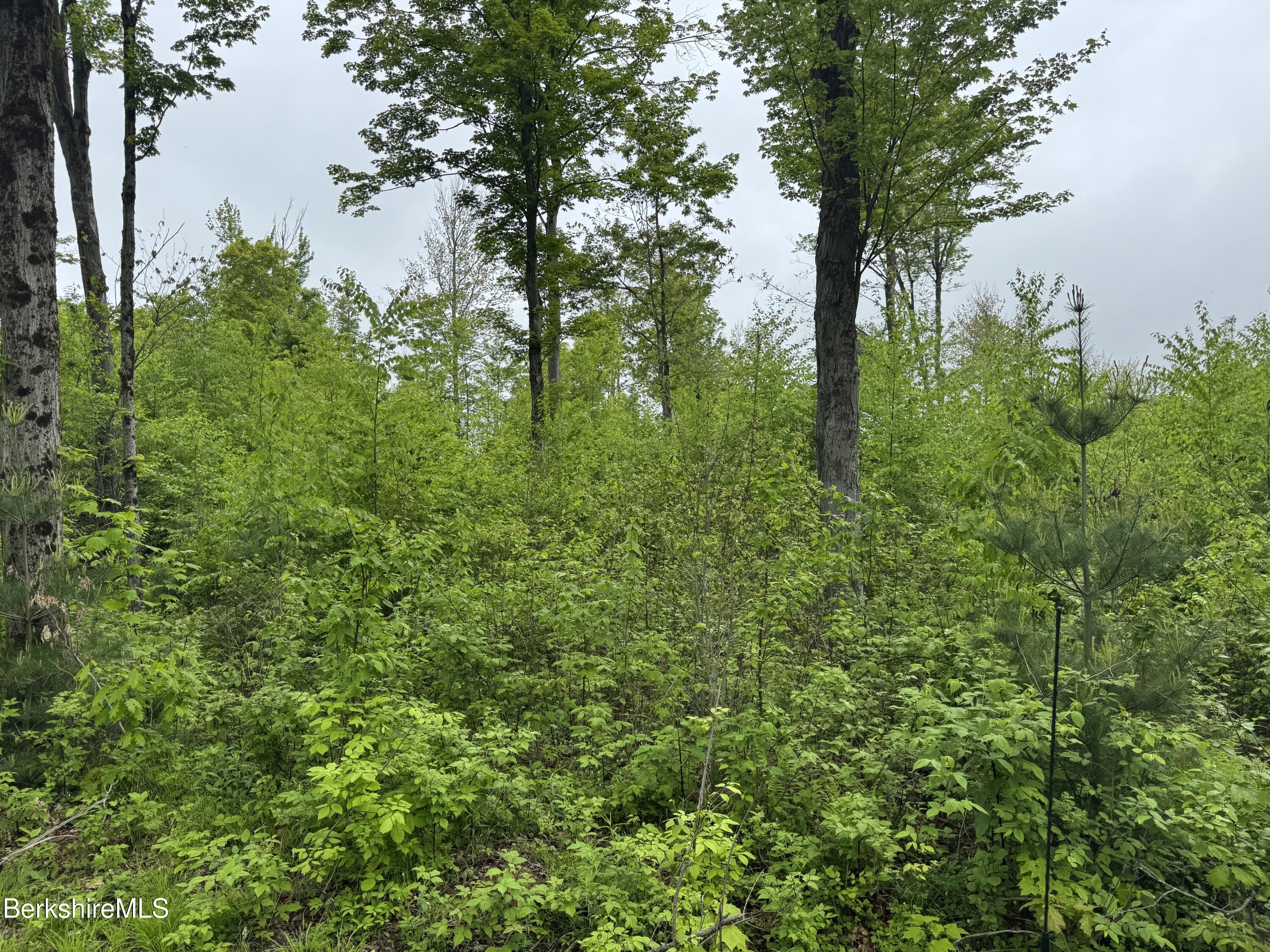 Lot B Beulah Land Road, Blandford, Massachusetts image 8