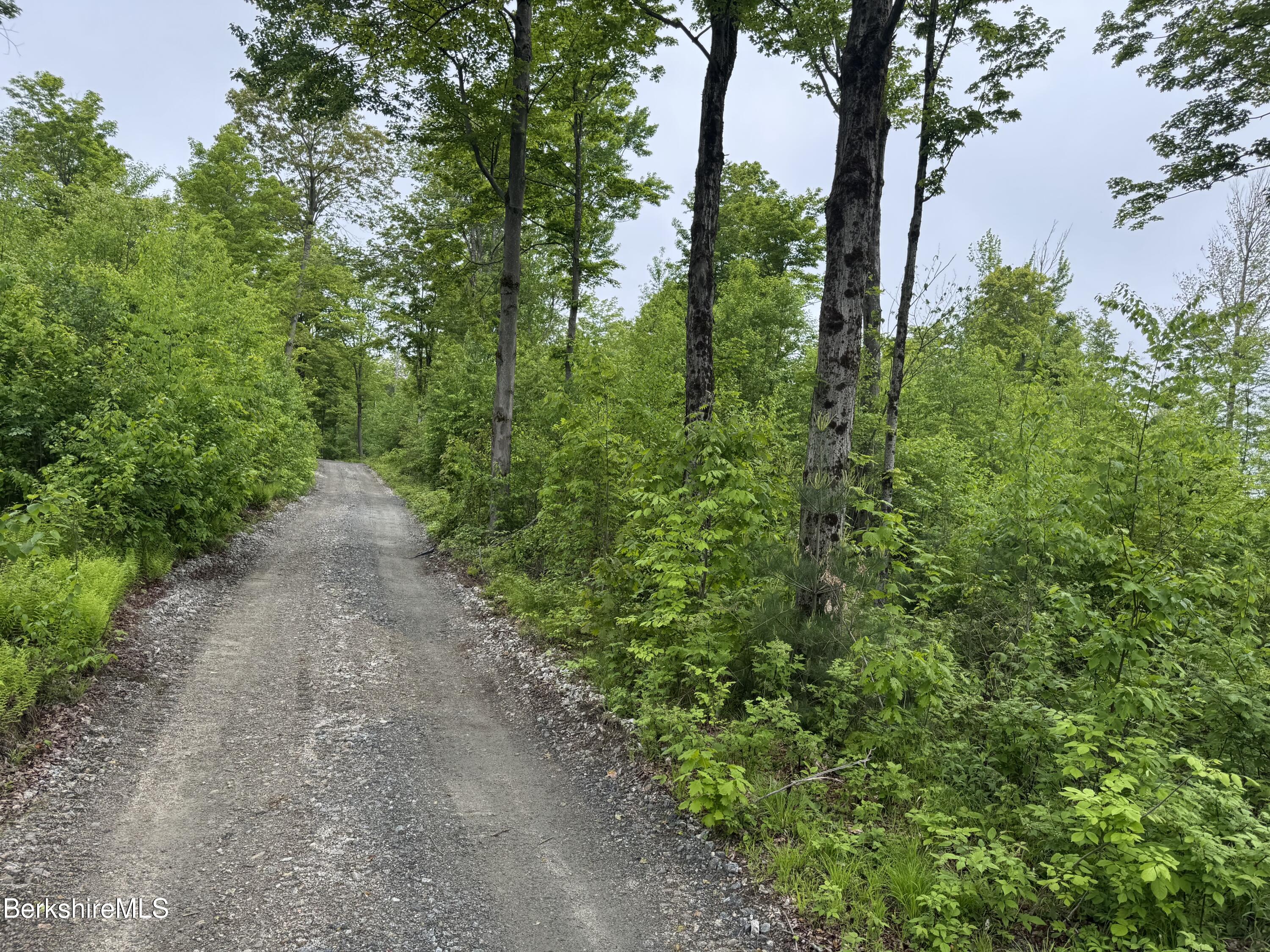 Lot B Beulah Land Road, Blandford, Massachusetts image 9
