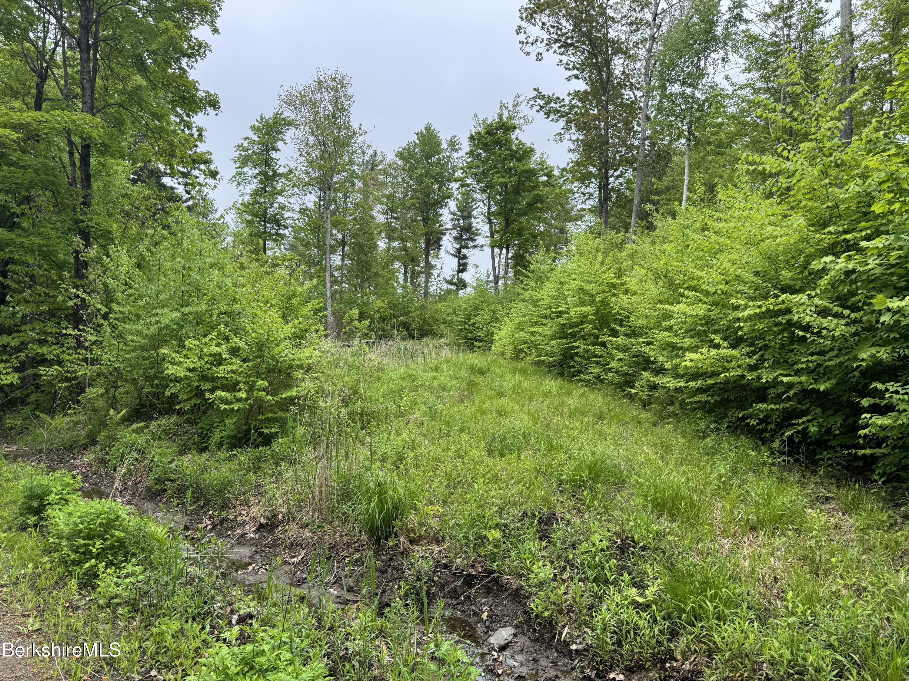Lot B Beulah Land Road, Blandford, Massachusetts image 5