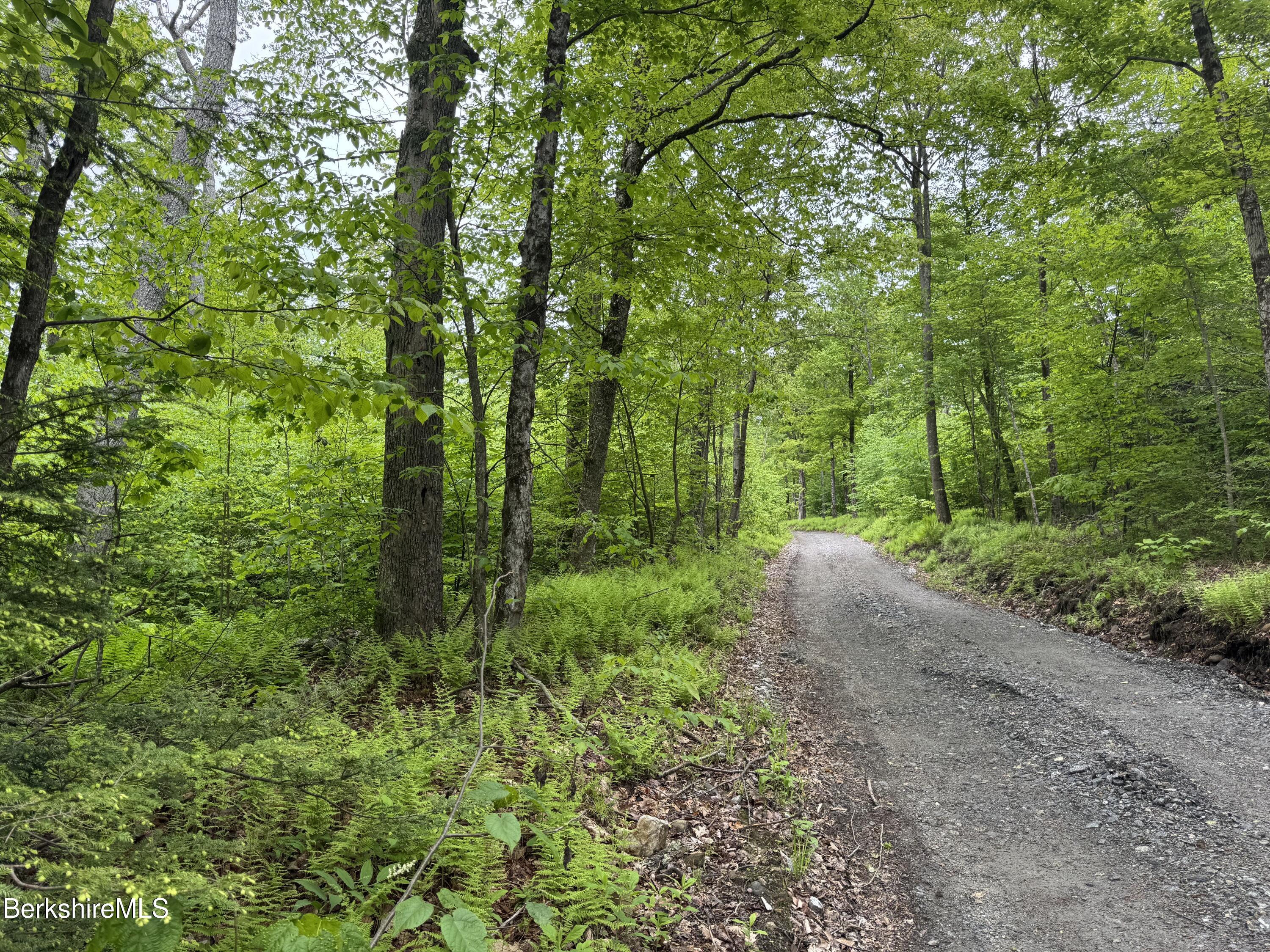 Lot B Beulah Land Road, Blandford, Massachusetts image 7