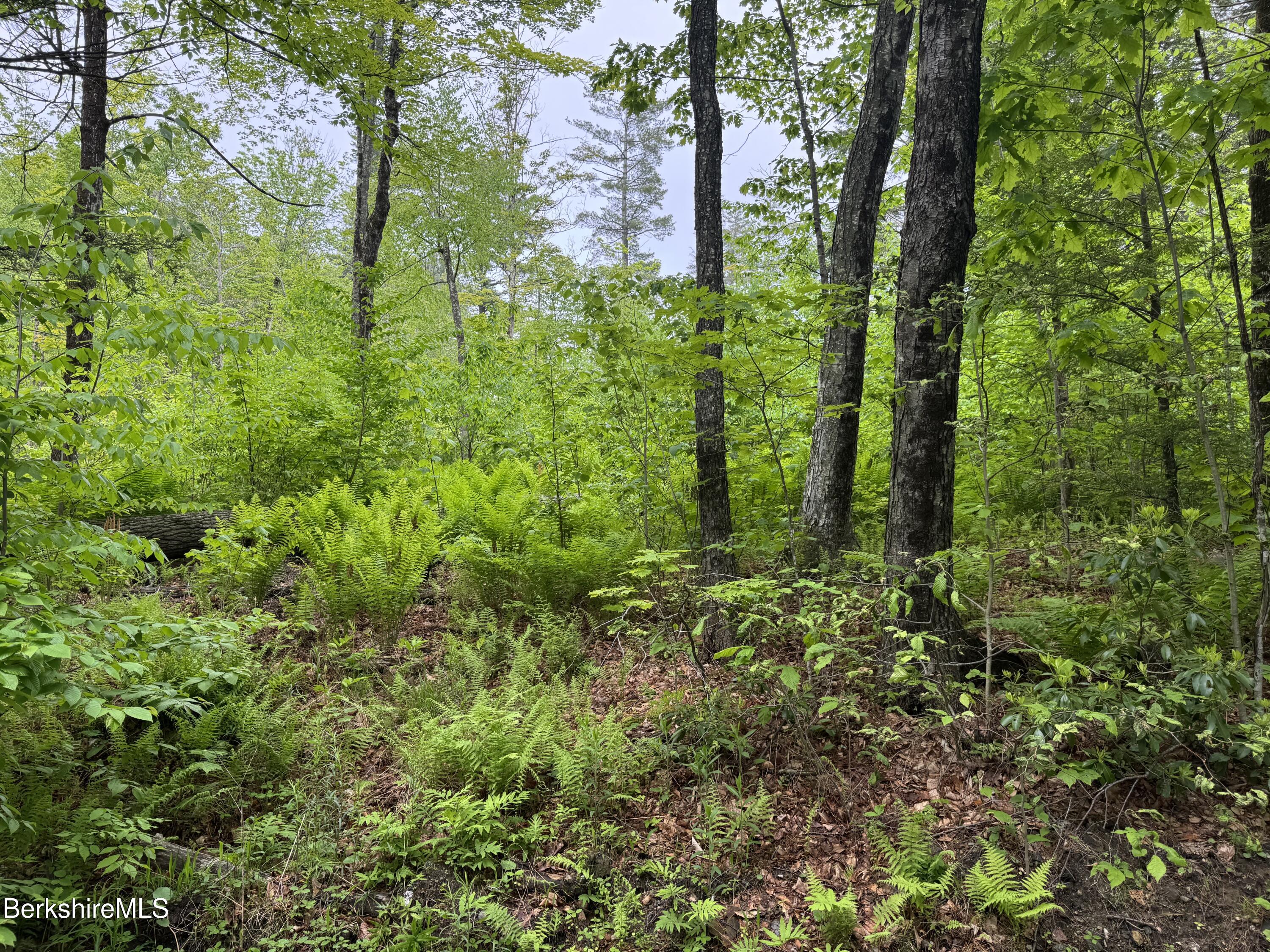 Lot B Beulah Land Road, Blandford, Massachusetts image 4