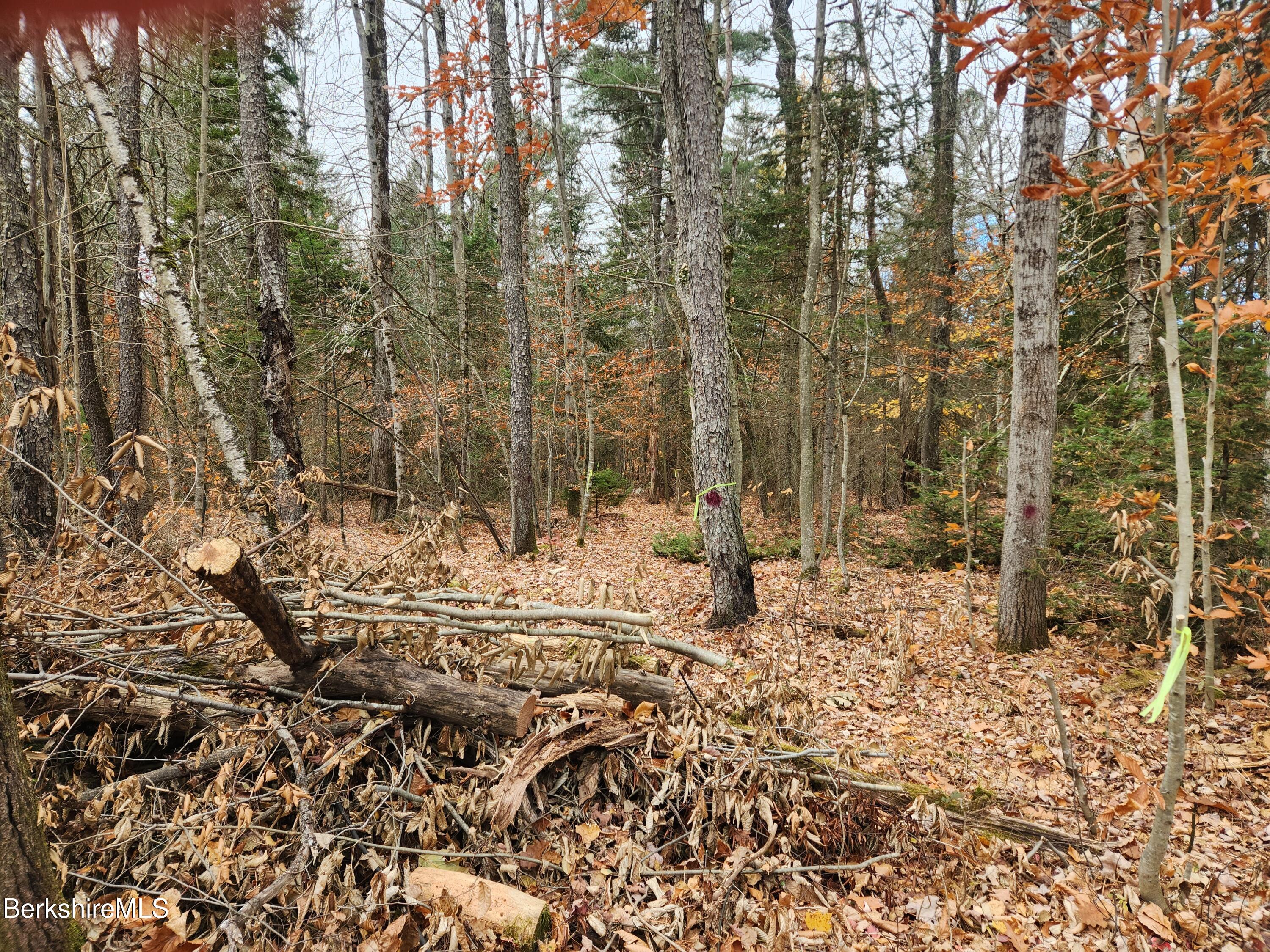 Yokum Pond Rd, Becket, Massachusetts image 9