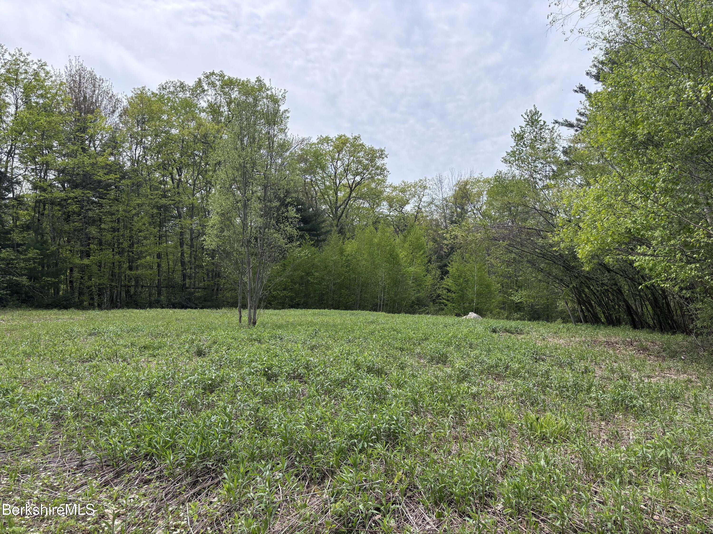 9 South Sandisfield Rd, Sandisfield, Massachusetts image 6
