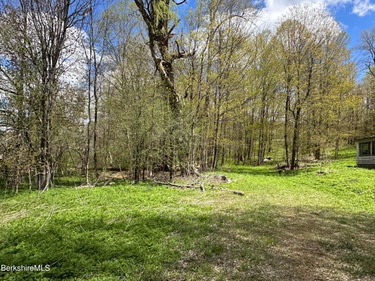 2447 STATE RD, RICHMOND, MA 01254 - Image b8cbeaec90e7a43a5797cccab7e2c7e7/2521514829