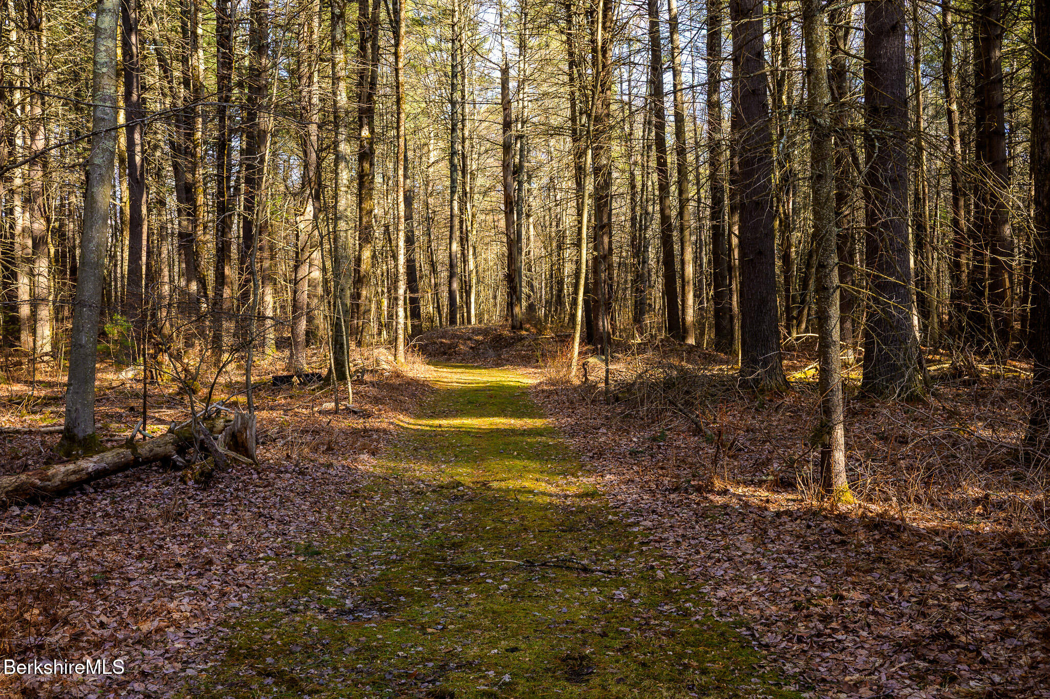 353 State Rd, Great Barrington, Massachusetts image 46