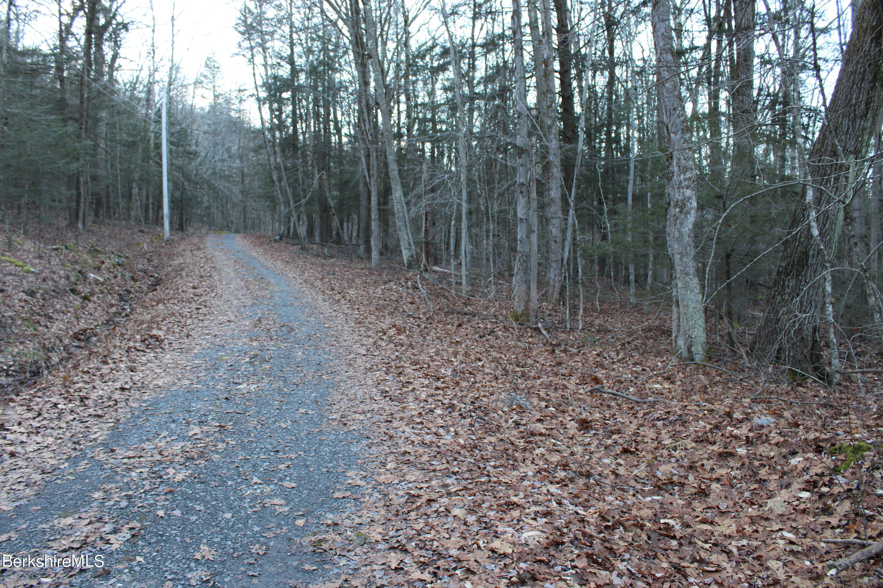 Hemlock Rd, Tyringham, Massachusetts image 5