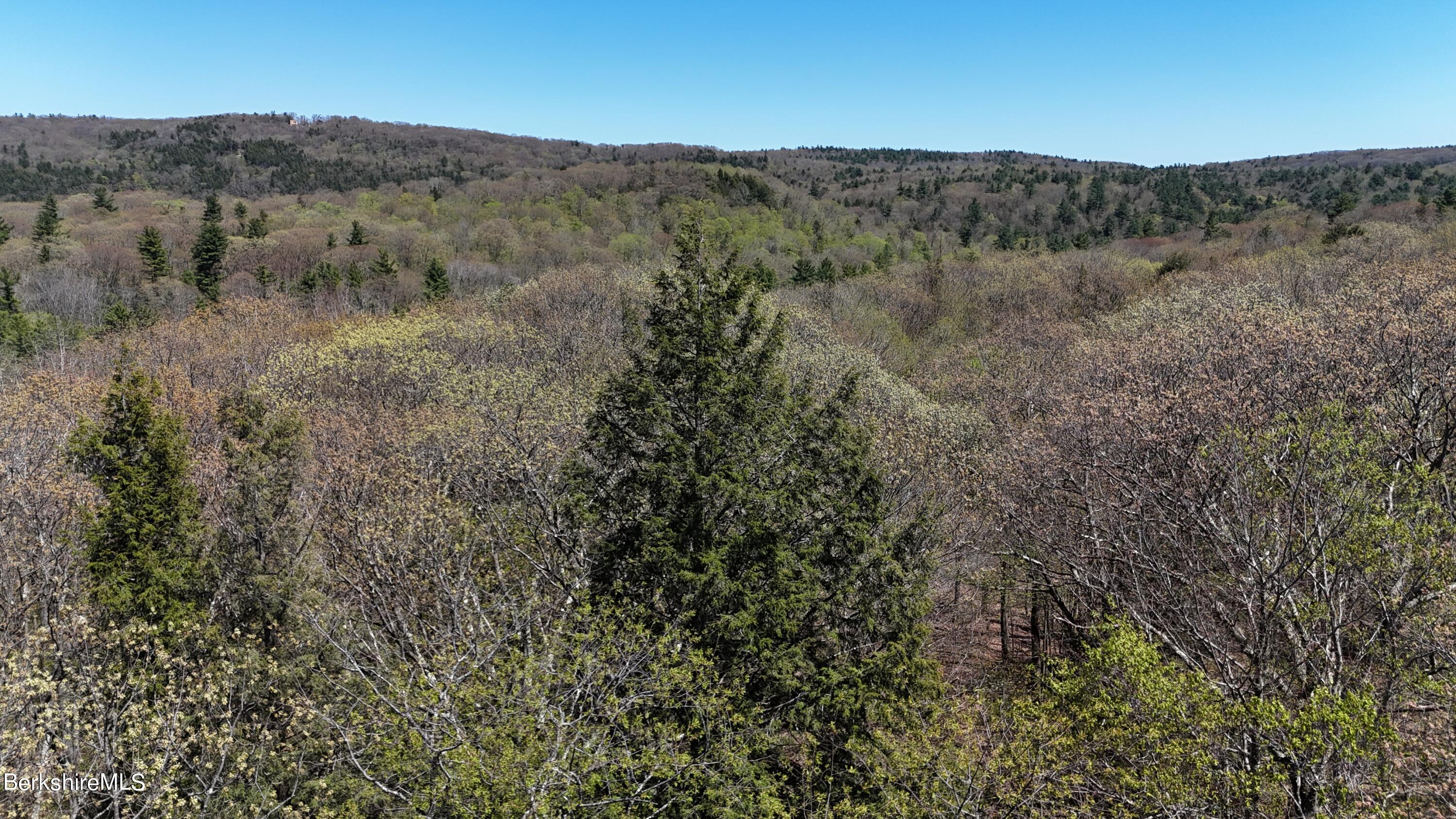 Hemlock Rd, Tyringham, Massachusetts image 13