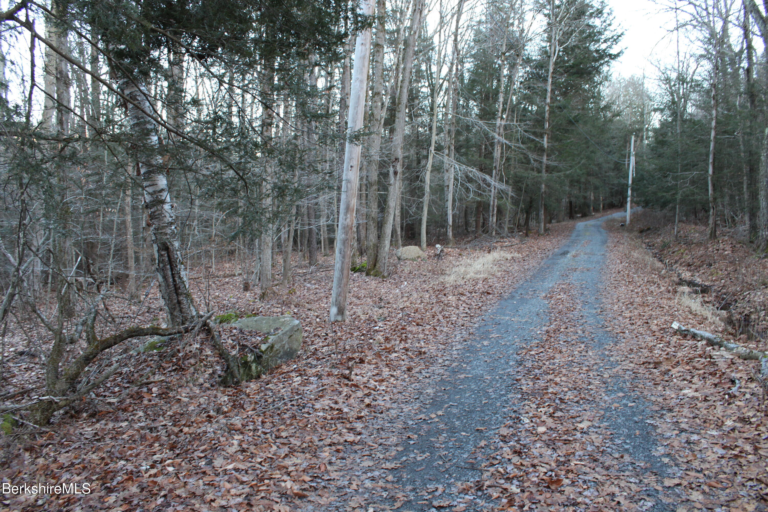 Hemlock Rd, Tyringham, Massachusetts image 1