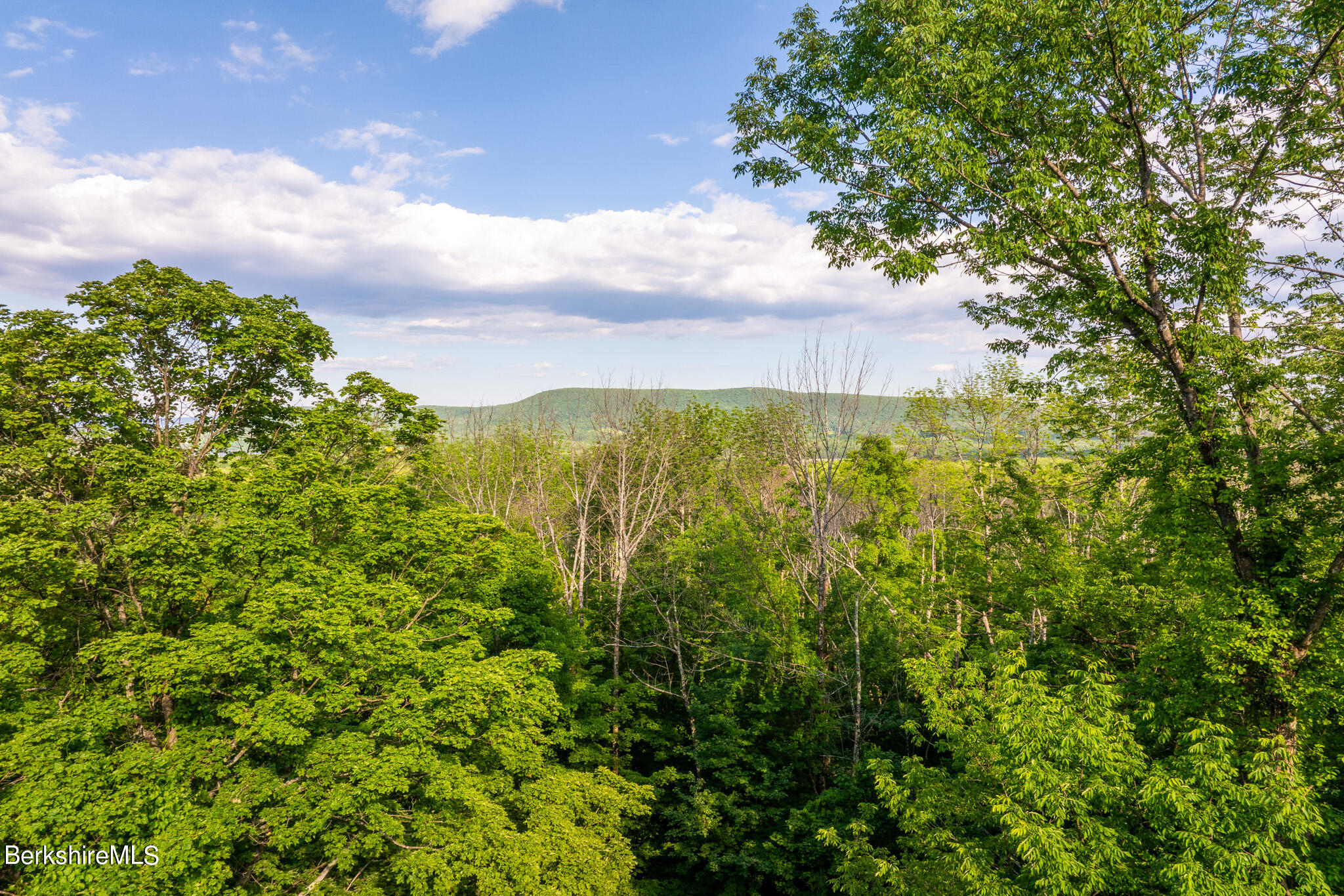 East Slope Rd, Richmond, Massachusetts image 4