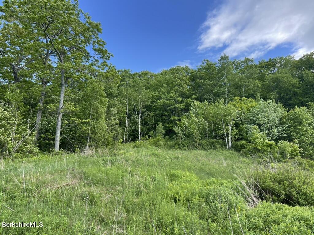 2438 Mohawk Trail, North Adams, Massachusetts image 1