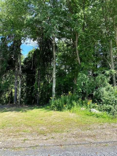Vacant Land For Sale - Greenwood Cir<br/> Egremont, MA 01258