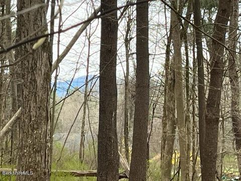 Vacant Land For Sale - 162 Alford Rd<br/> Great Barrington, MA 01230