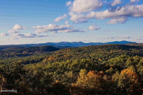 Vacant Land For Sale - 132 Harwood Rd<br/> Savoy, MA 01256