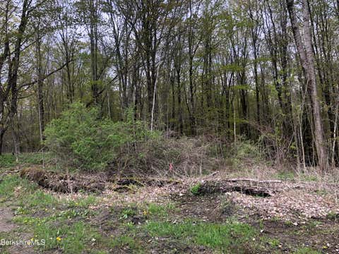 Vacant Land For Sale - 5 Watson Rd<br/> Hinsdale, MA 01235
