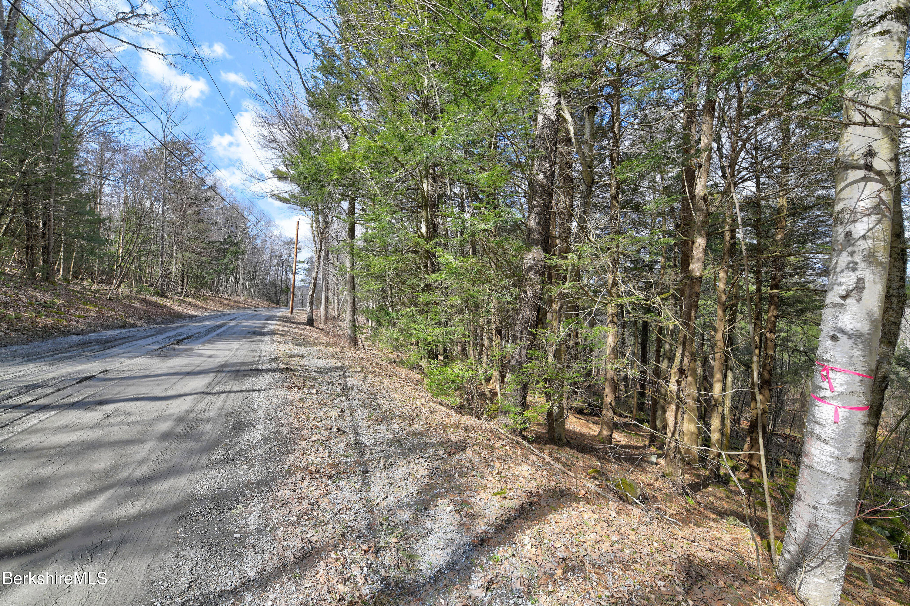 83 Goose Pond Rd, Tyringham, Massachusetts image 7